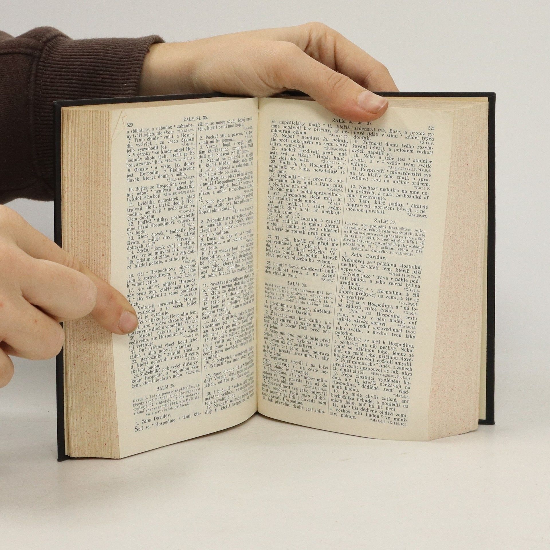Kolektiv autorů Biblí svatá aneb Všecka svatá písma Starého i Nového zákona