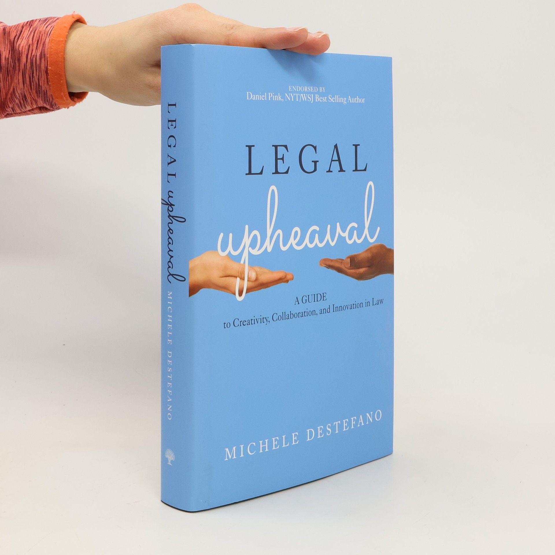 Michele Destefano Legal upheaval