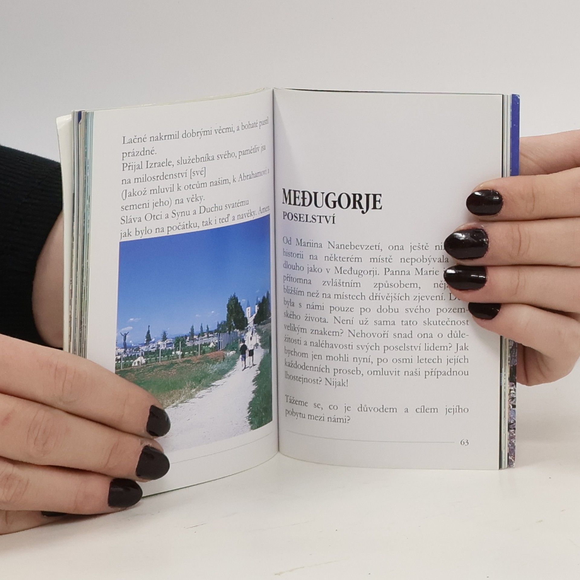 Kolektiv autorů Medugorje: Historie. Modlitba. Poselství