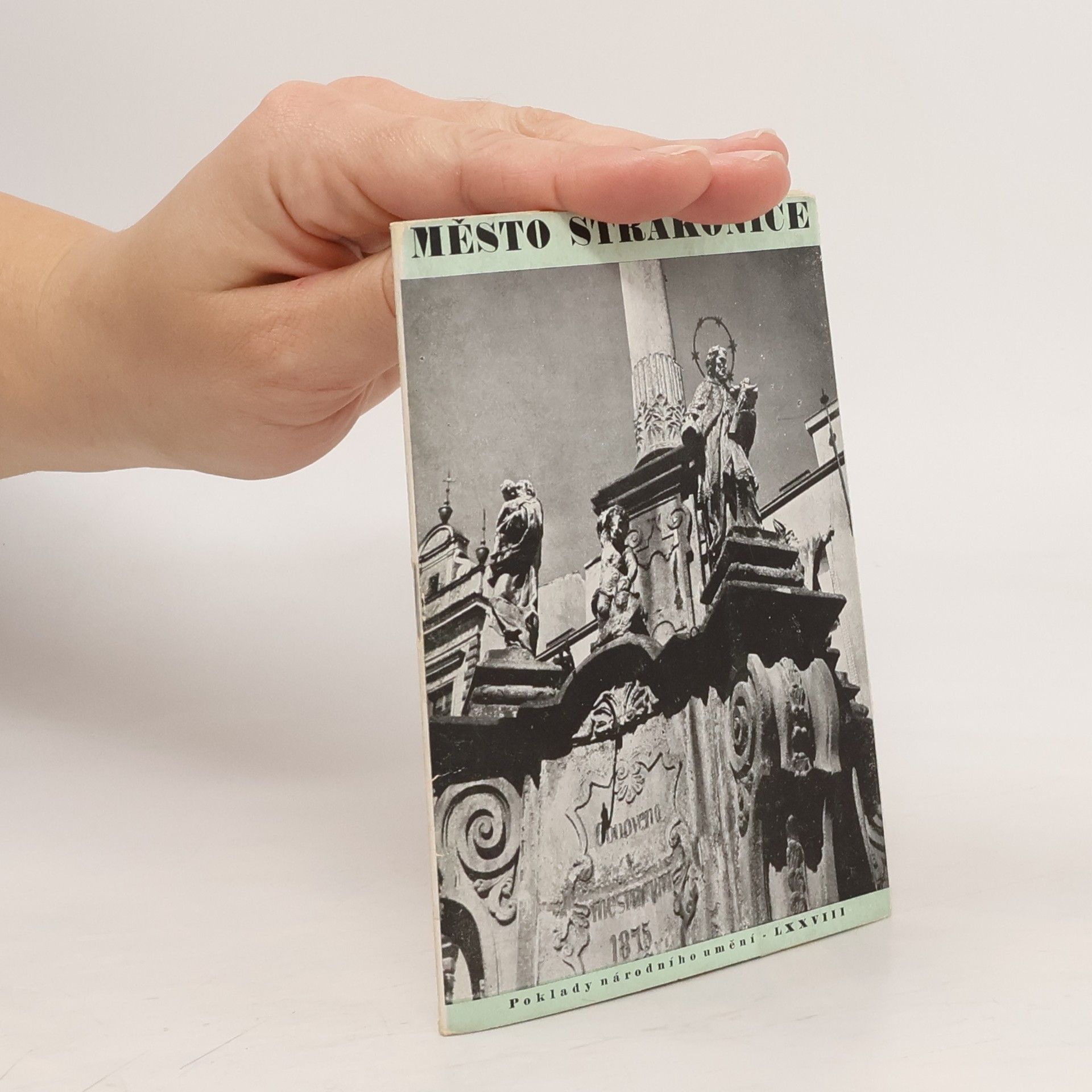 Birnbaumová A. Město Strakonice