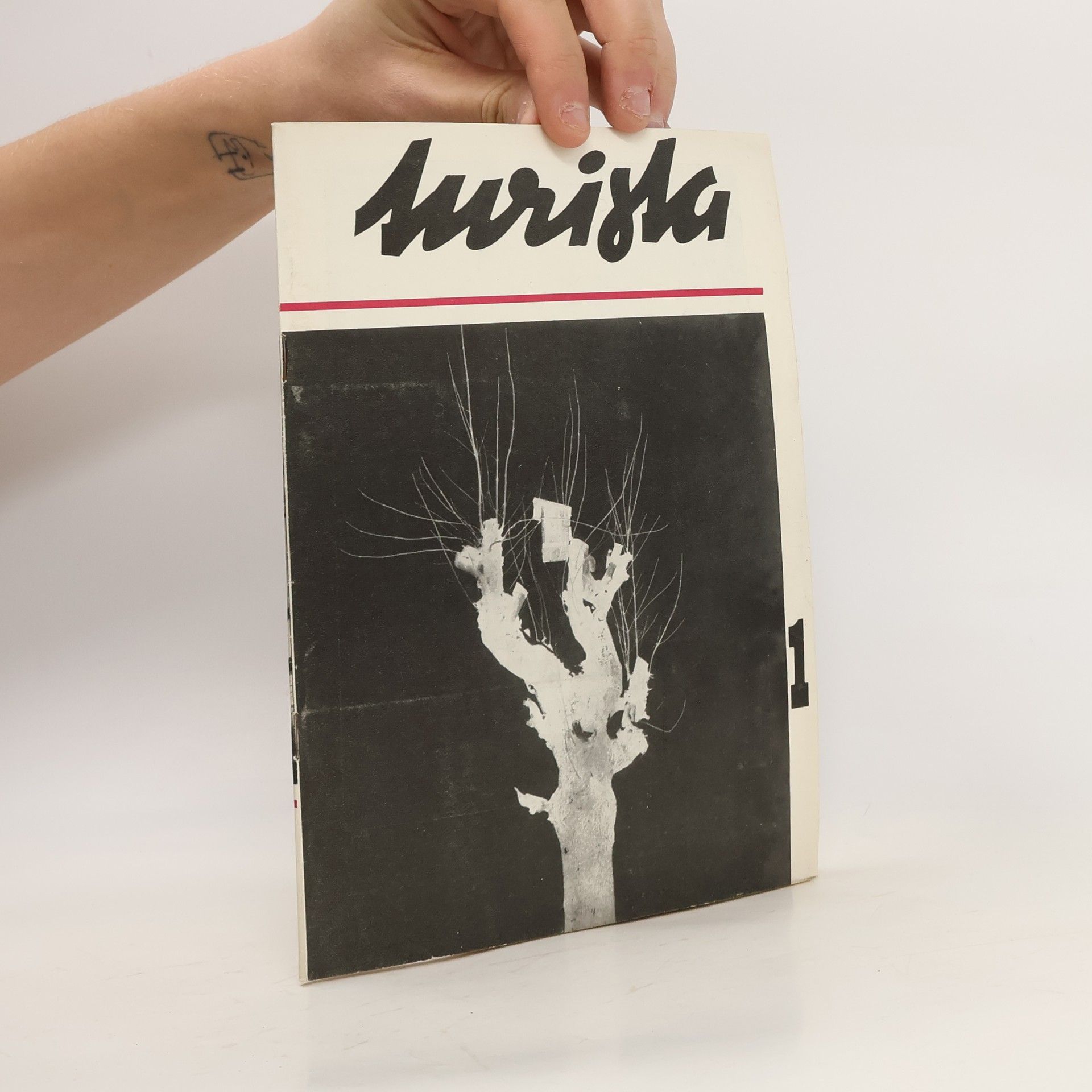 Kolektív autorov Turista