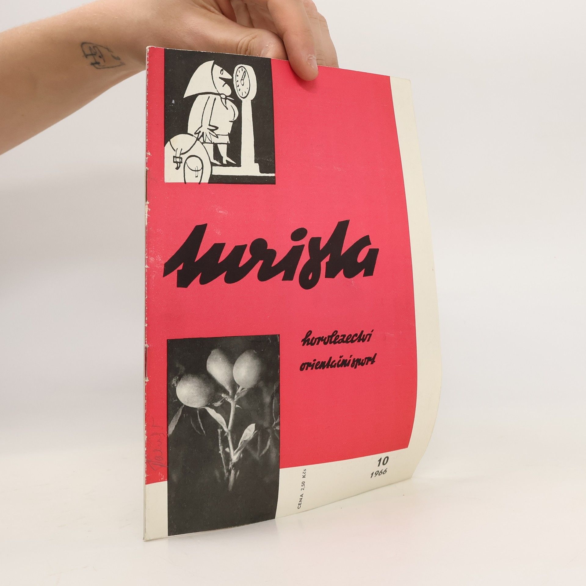 Kolektív autorov Turista 10/1966