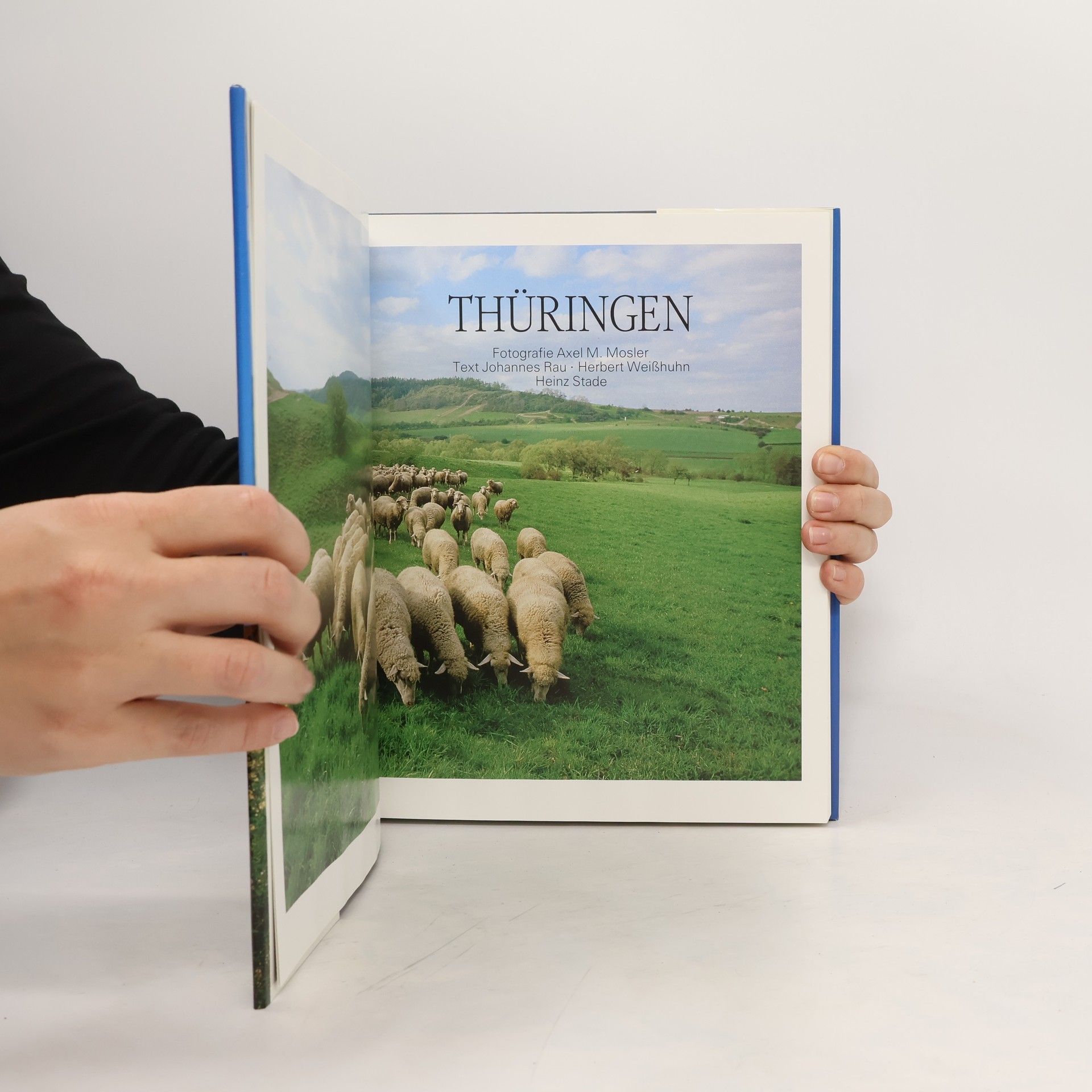 Autorenkollektiv Thüringen