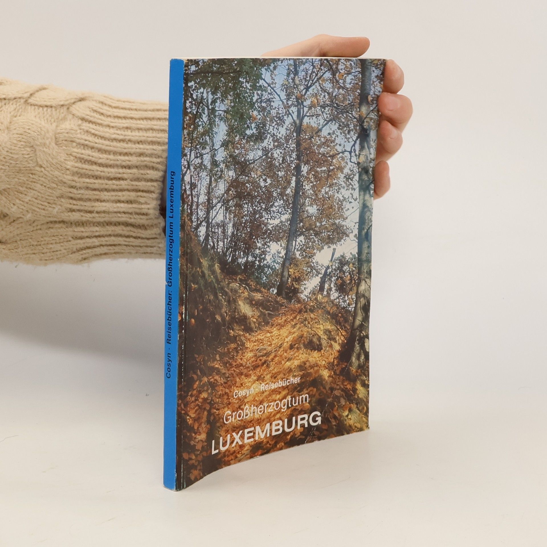 Paul Cosyn Das Grossherzogtum Luxemburg