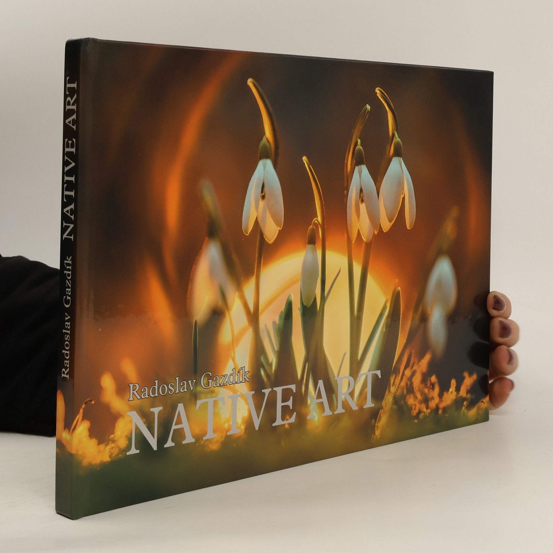 Native Art