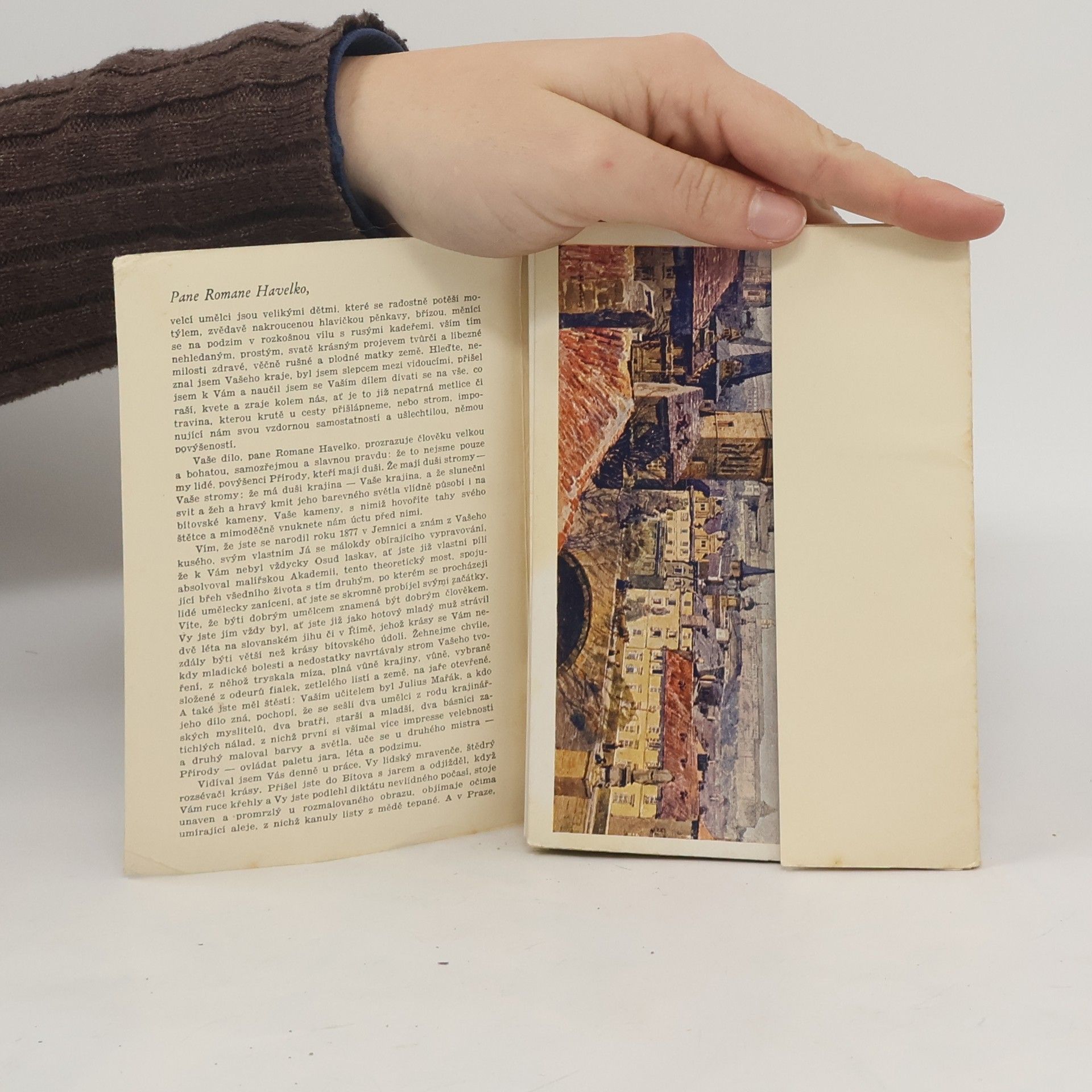 Kolektív autorov Roman Havelka