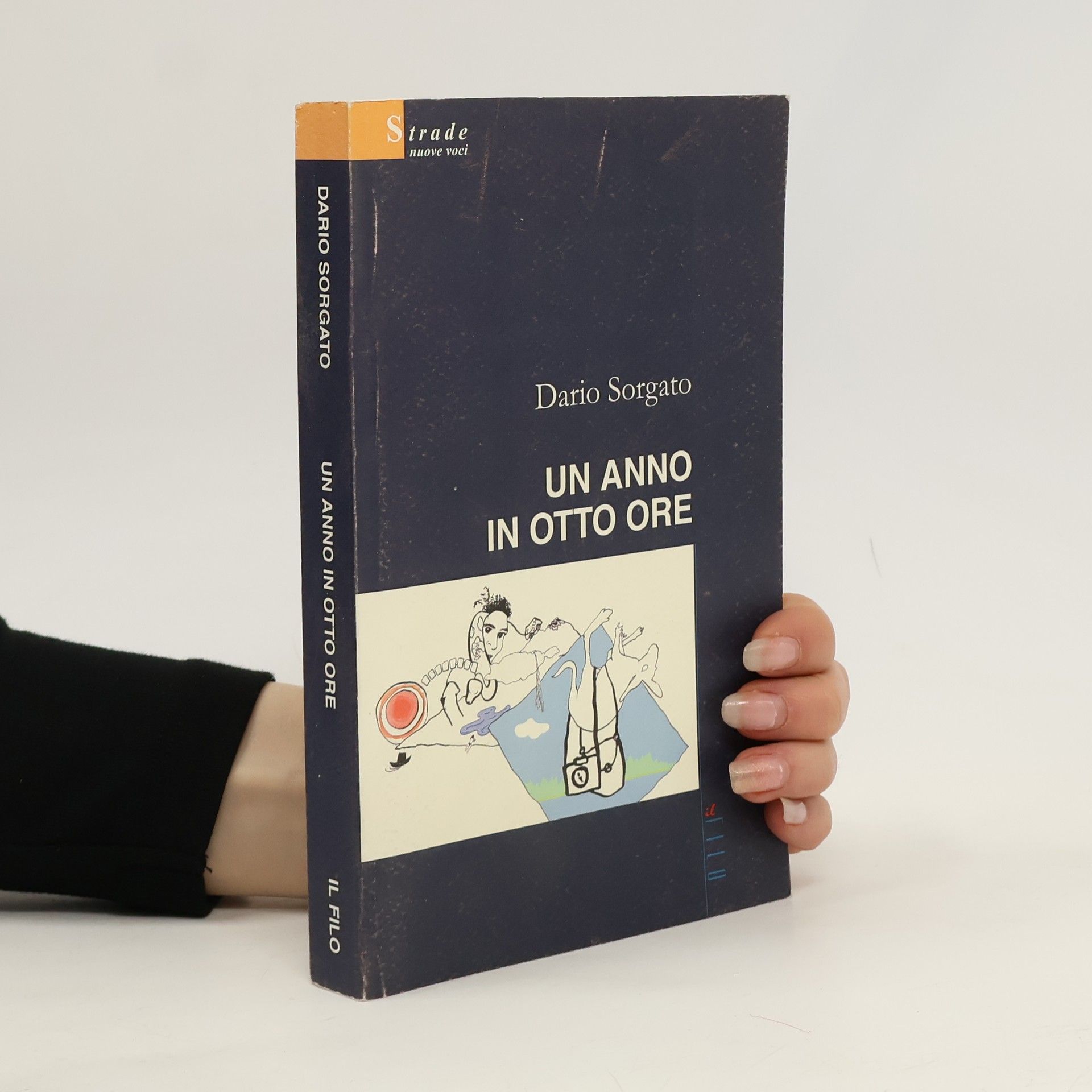 Dario Sorogato Un anno in otto ore