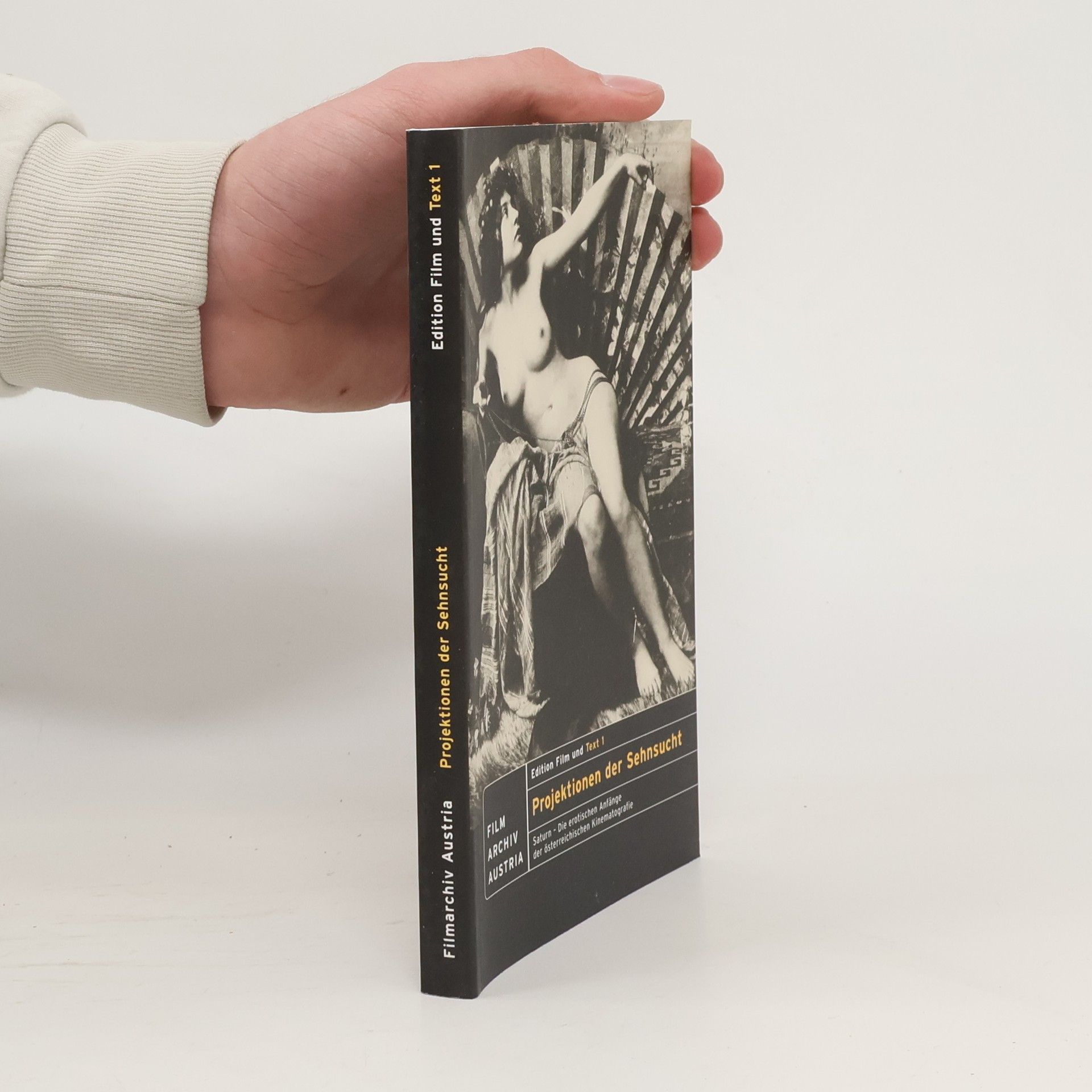 Projektionen der Sehnsucht. Film und Text 1