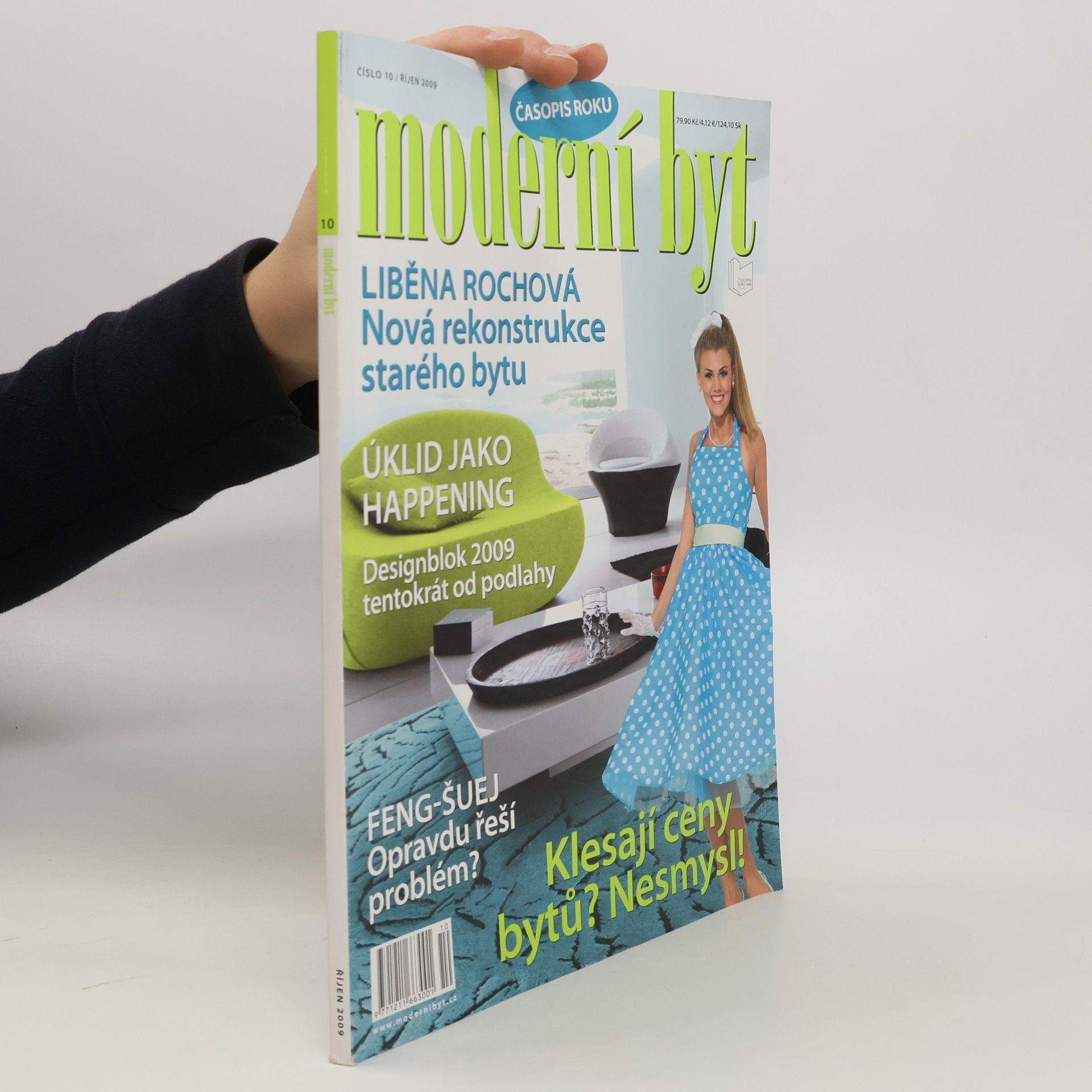 Autorenkollektiv Moderní byt 10/2009