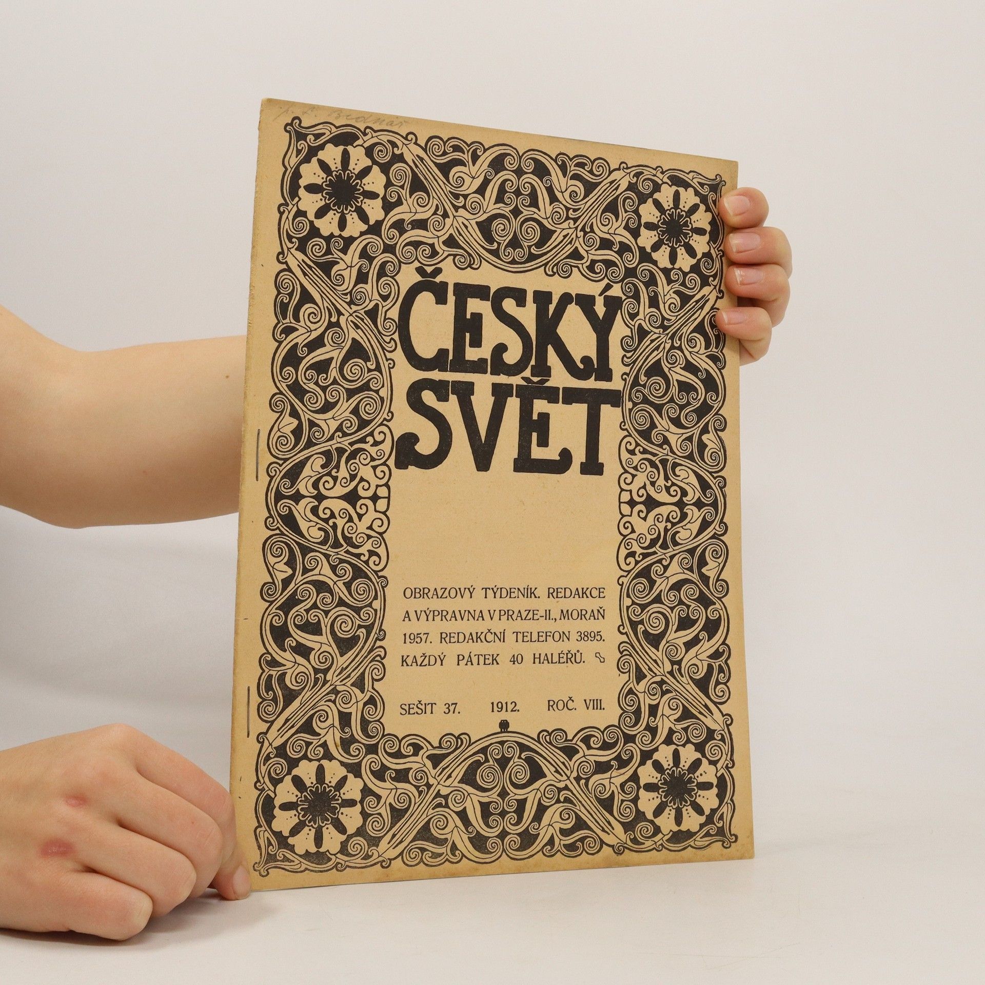 Kolektiv autorů Český svět 37