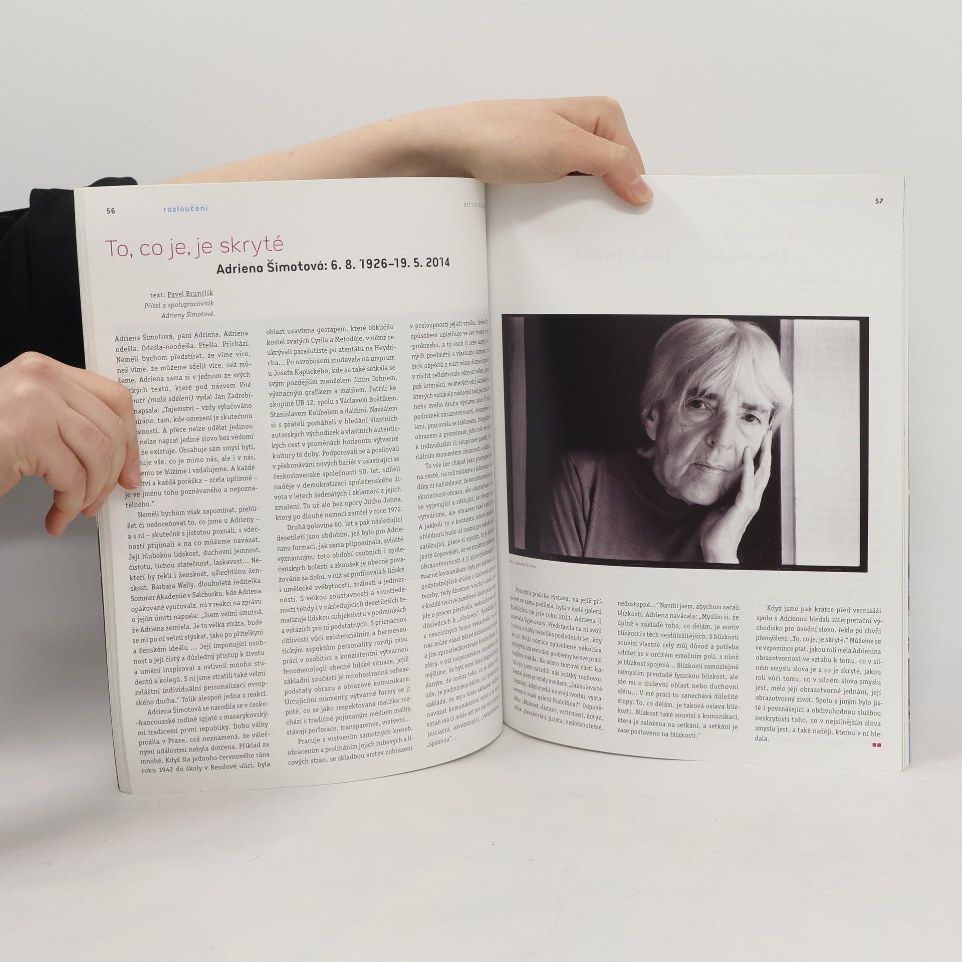 kolektiv Art+Antiques 12/2014+1/2015