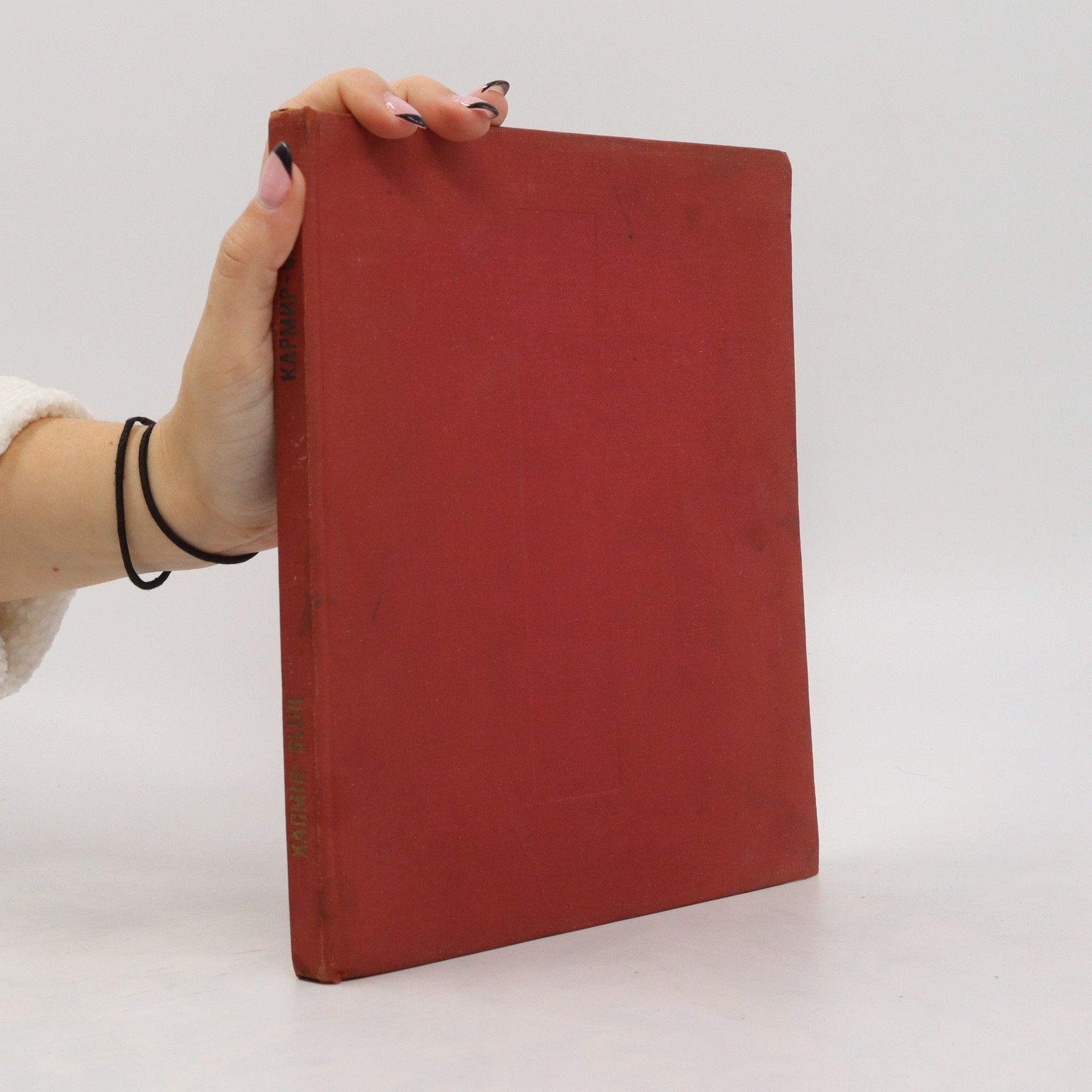 Boris Borisovich Piotrovskiy Ккармир-Блур. Karmir-Blur