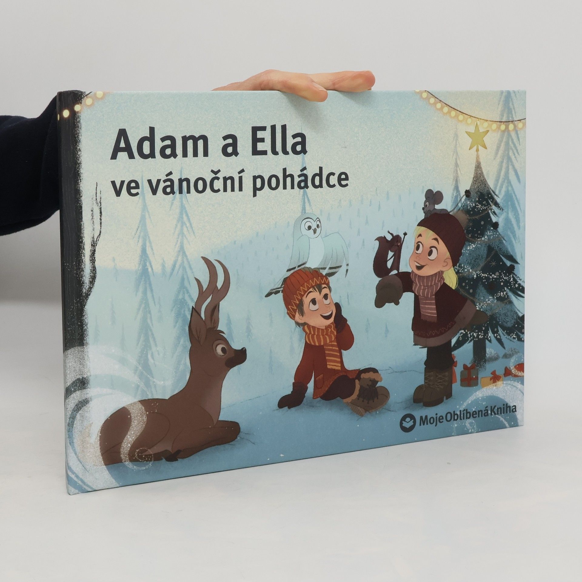 Kolektiv autorů Adam a Ella ve vánoční pohádce. Personalizovaná dětská knížka