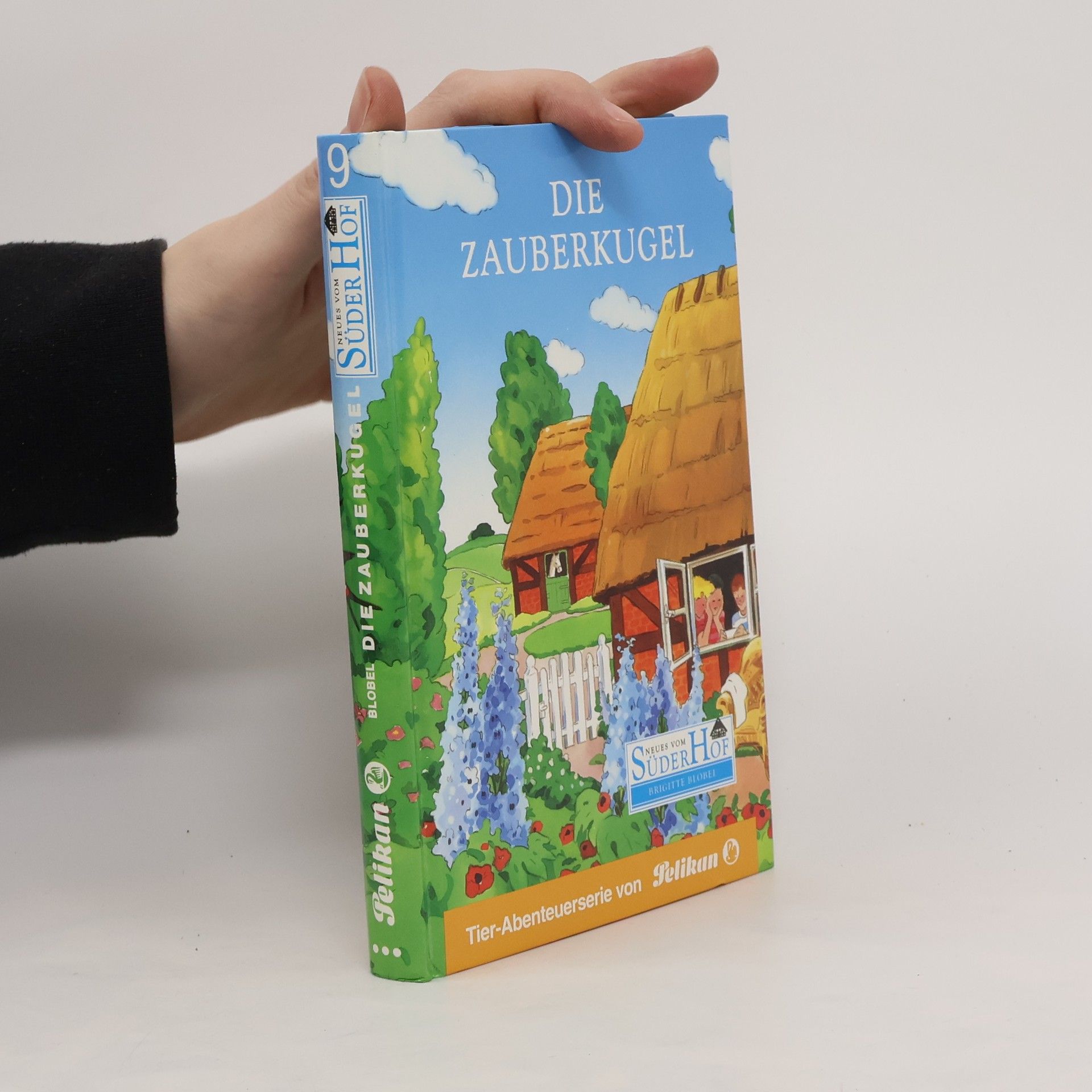 kolektiv Die Zauberkugel