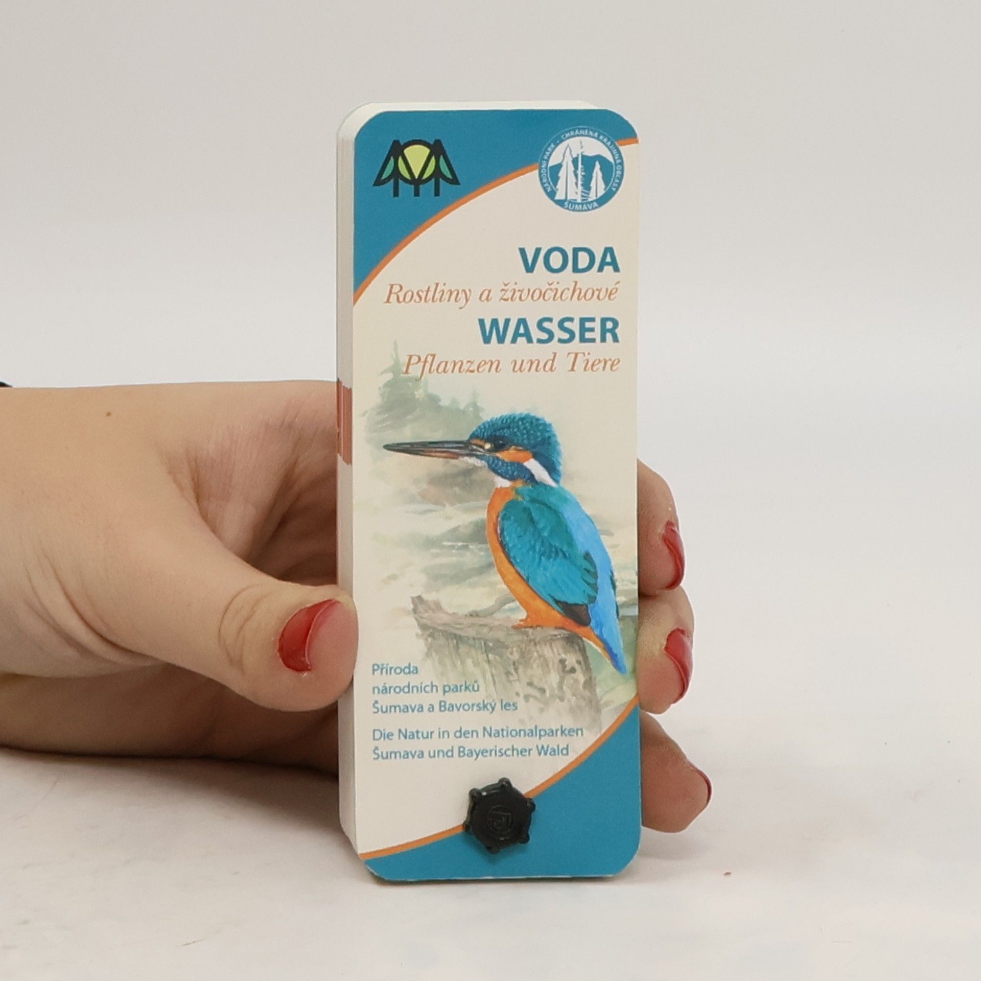 Collectif d'auteurs Voda. Rostliny a živočichové. Wasser. Pflanzen und Tiere