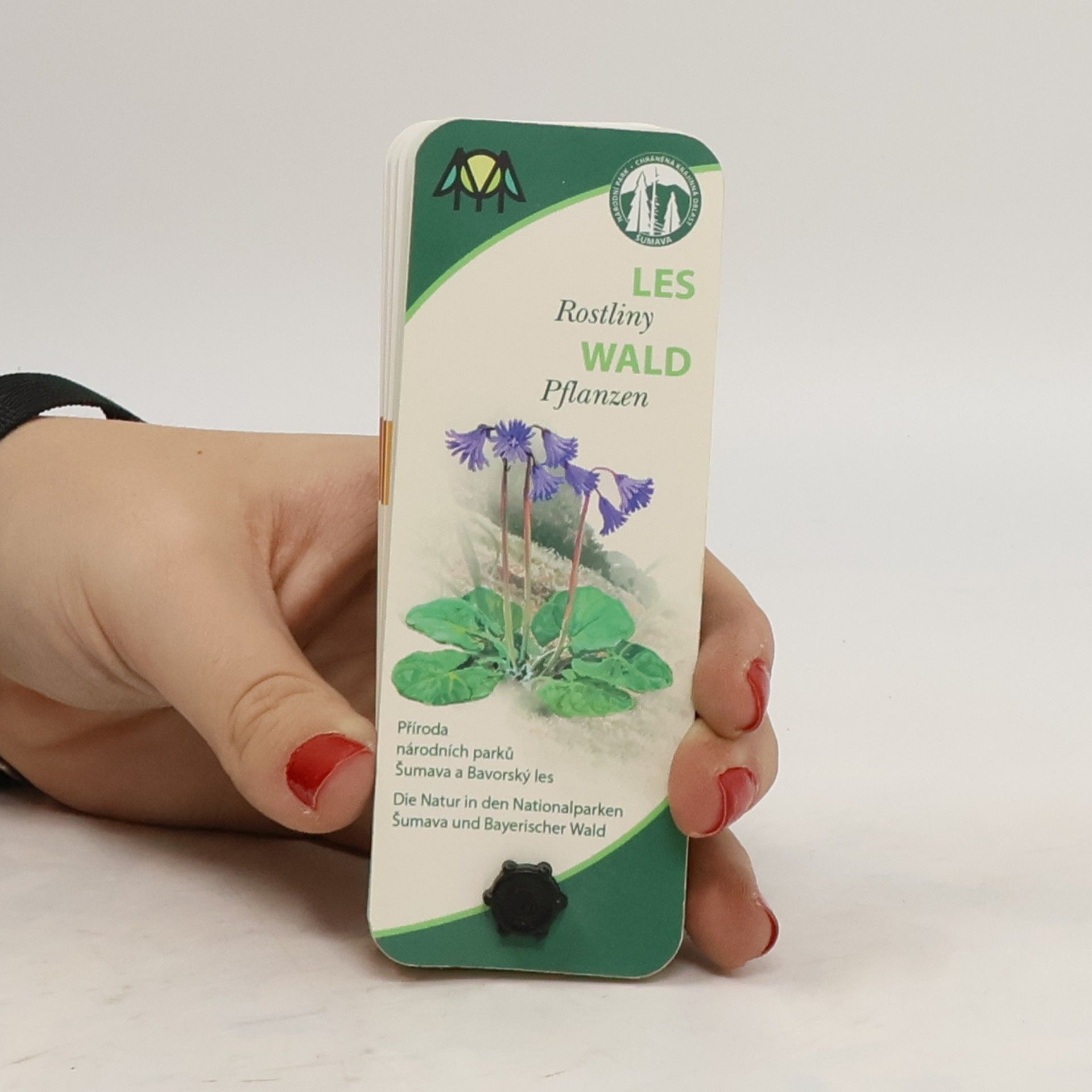 Collectif d'auteurs Les. Rostliny. Wald. Pflanzen