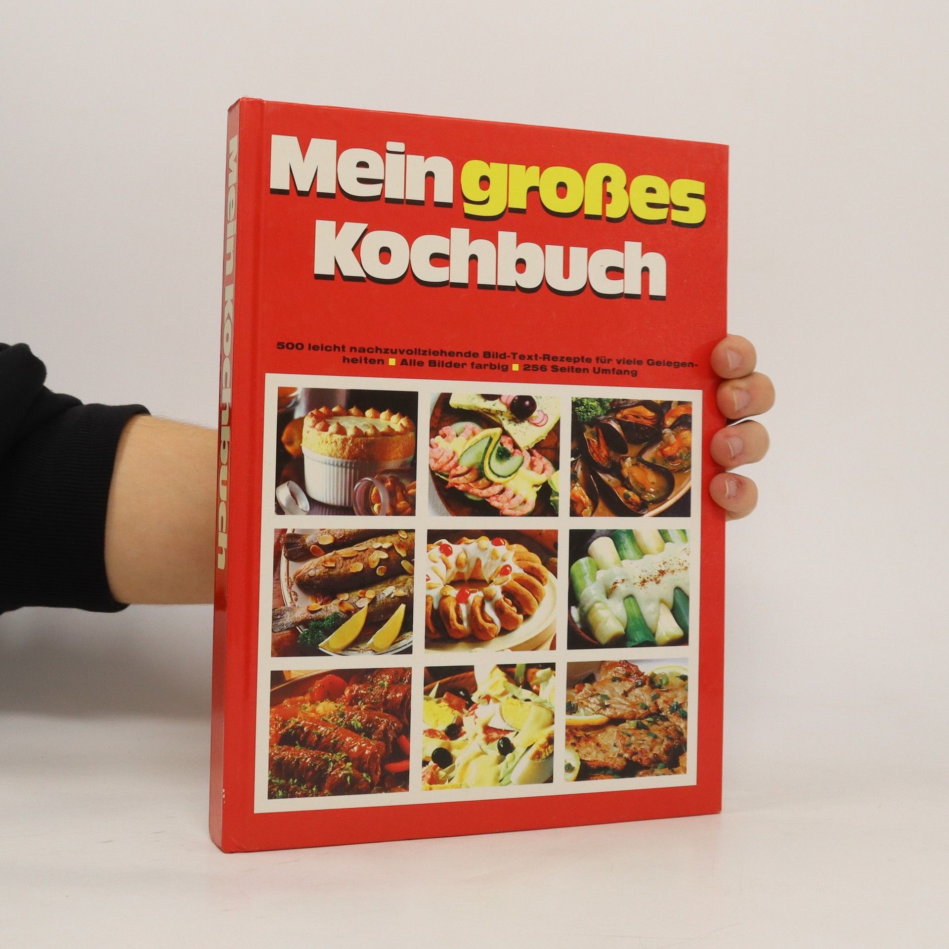 Autorenkollektiv Mein großes Kochbuch