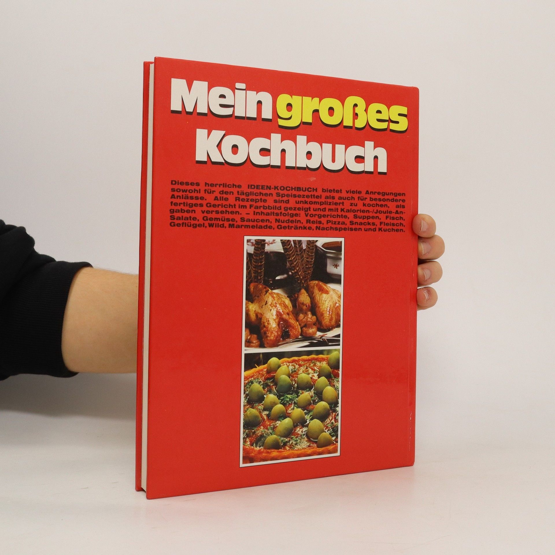 Autorenkollektiv Mein großes Kochbuch