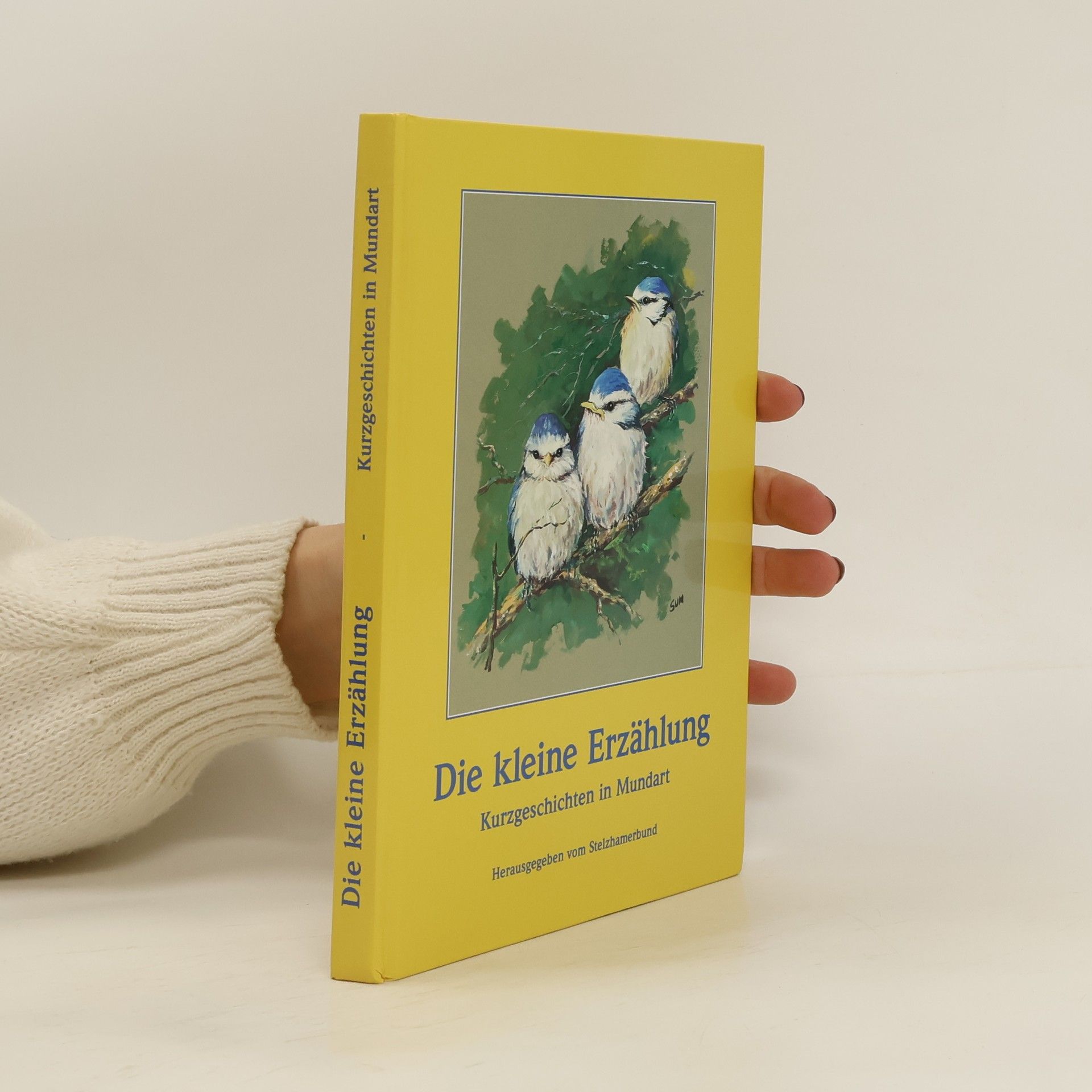 Collectif d'auteurs Die kleine Erzählung