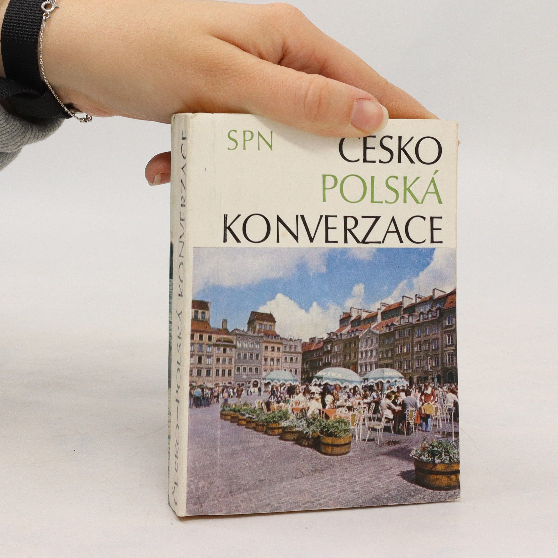 Collectif d'auteurs Česko-polská konverzace