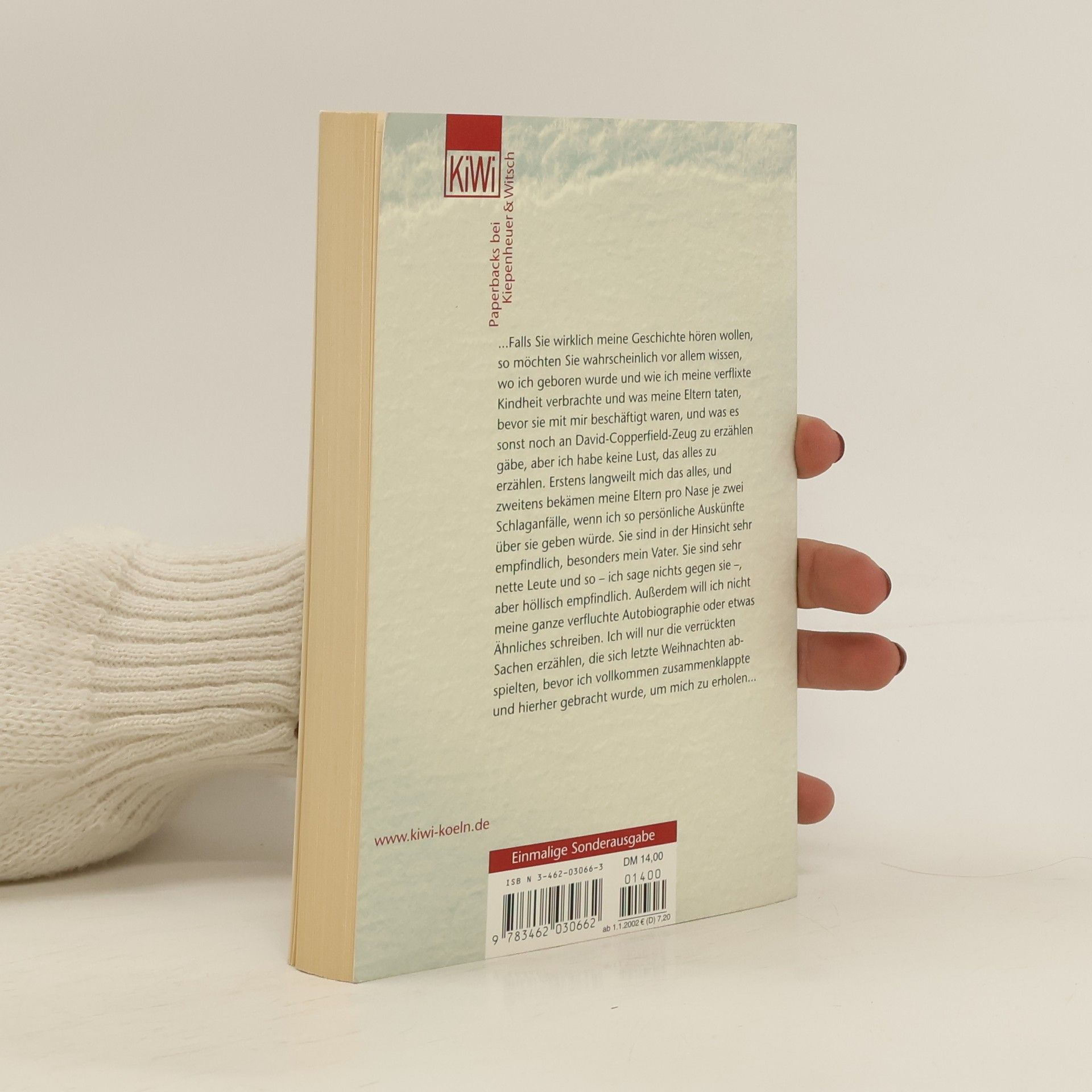 Jerome David Salinger Der Fänger im Roggen