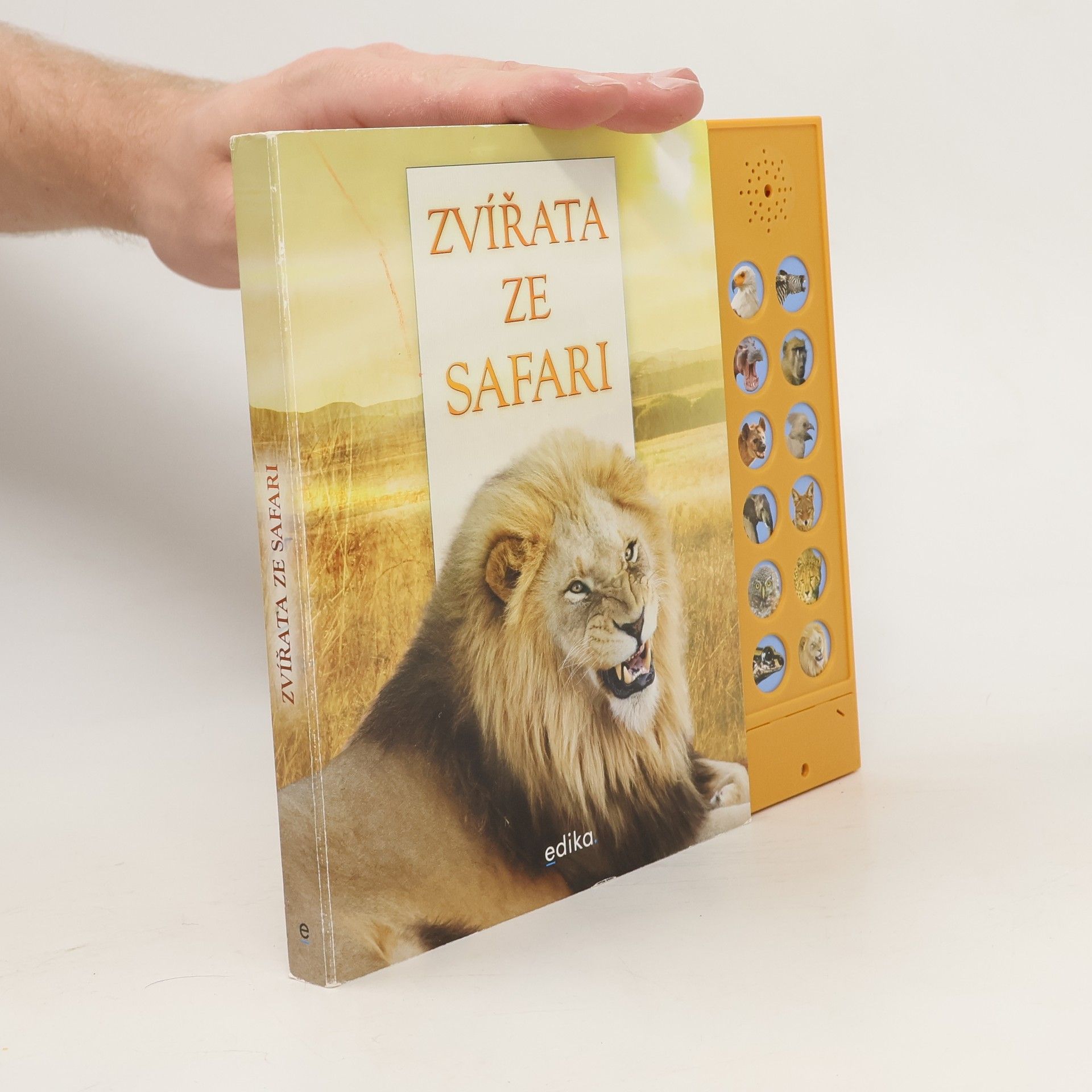 Andrea Pinnington Zvířata ze safari