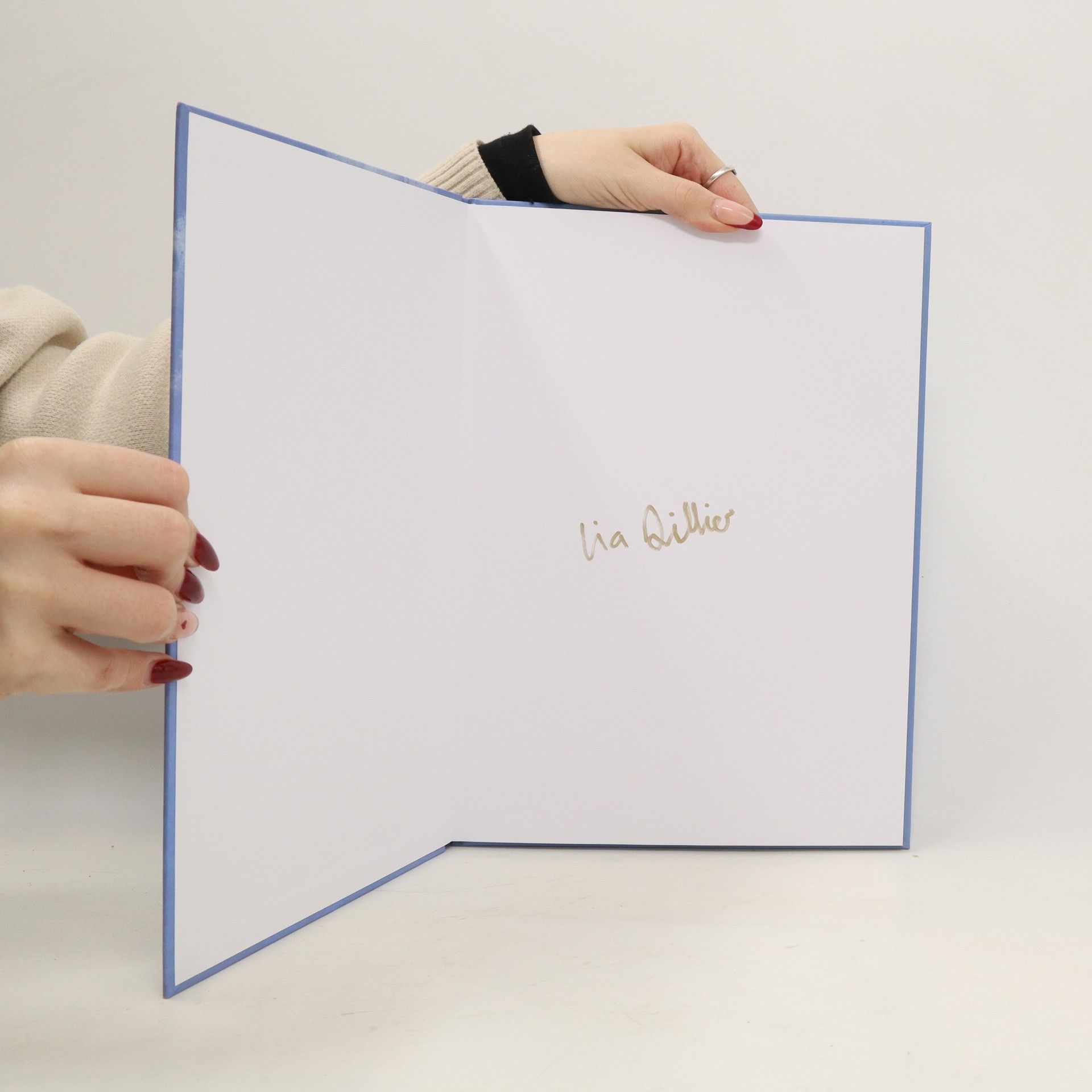 Therese Blättler Die kleine Feder