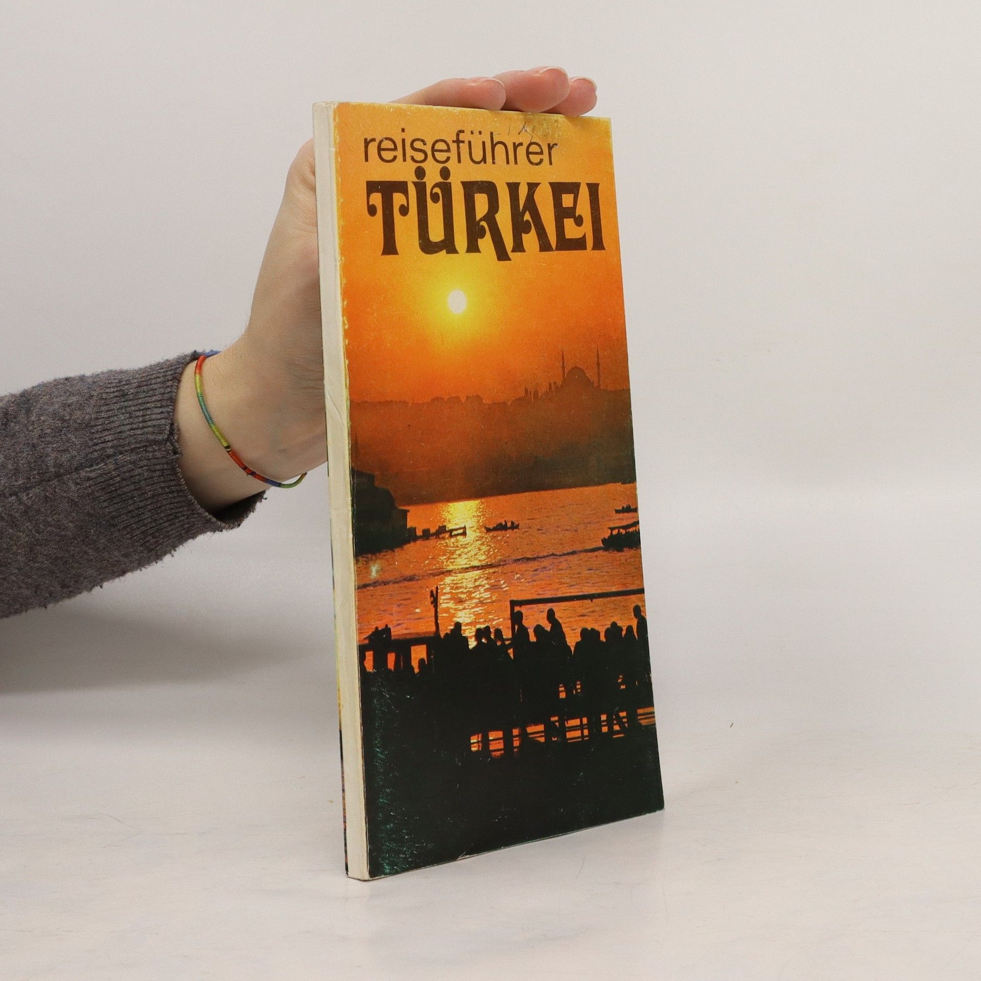 AA.VV. Reiseführer Türkei