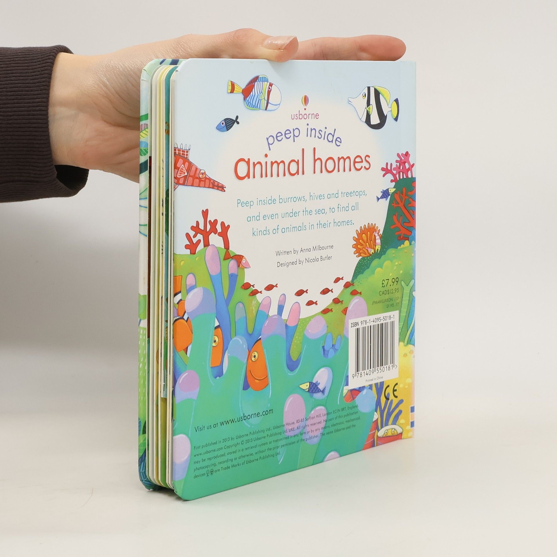 Anna Milbourne Peep Inside Animal Homes