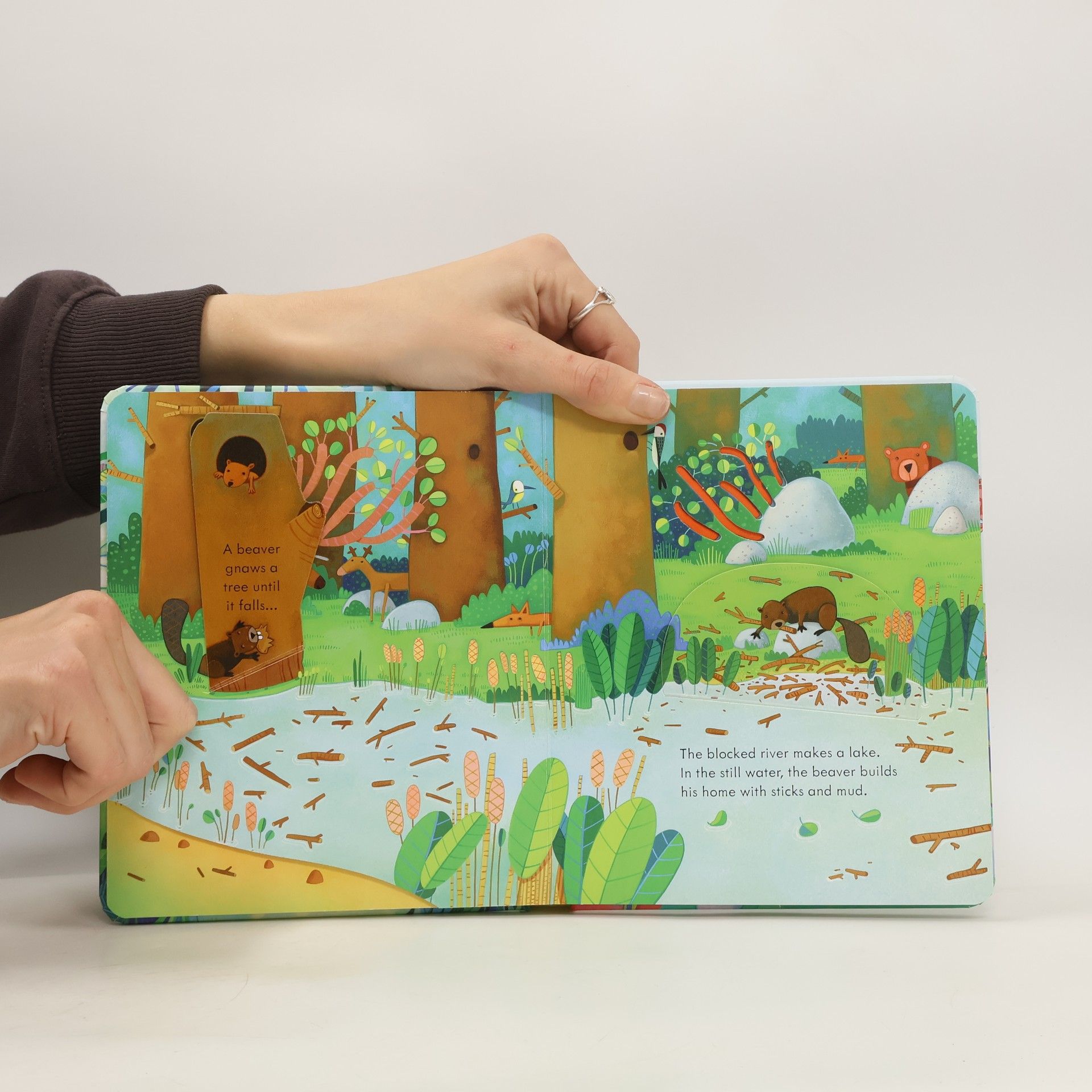 Anna Milbourne Peep Inside Animal Homes