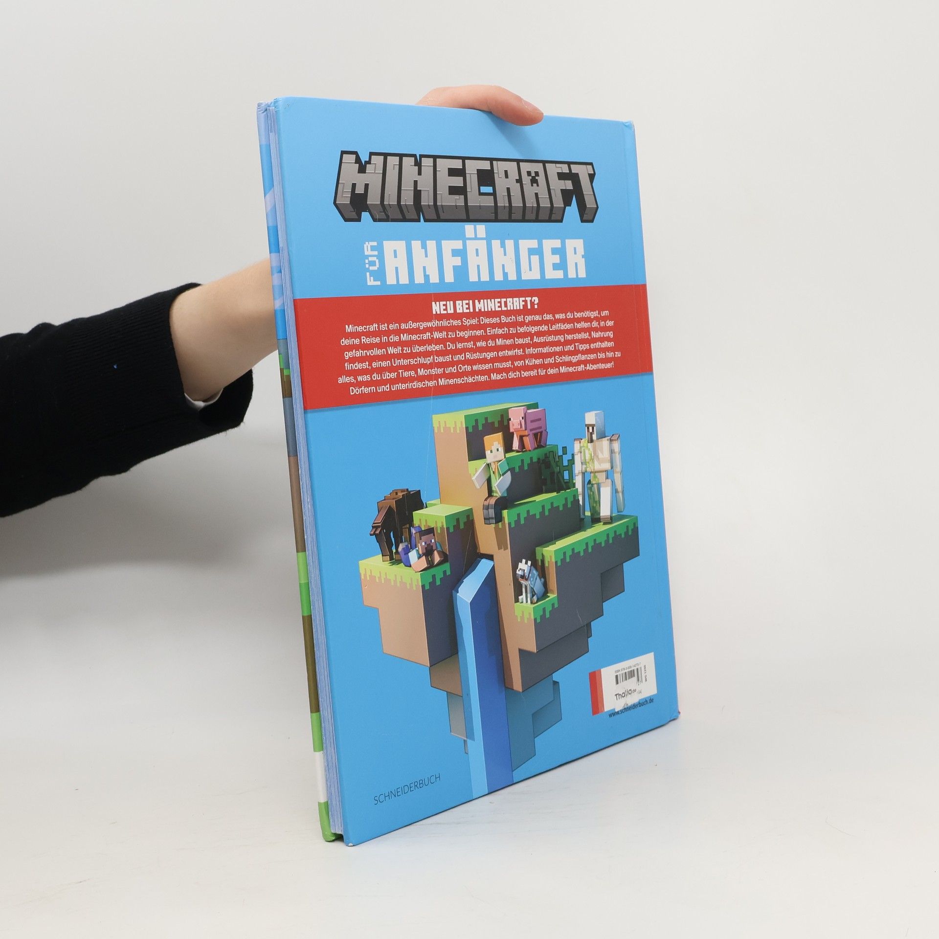 Stephanie Milton Minecraft für Anfänger