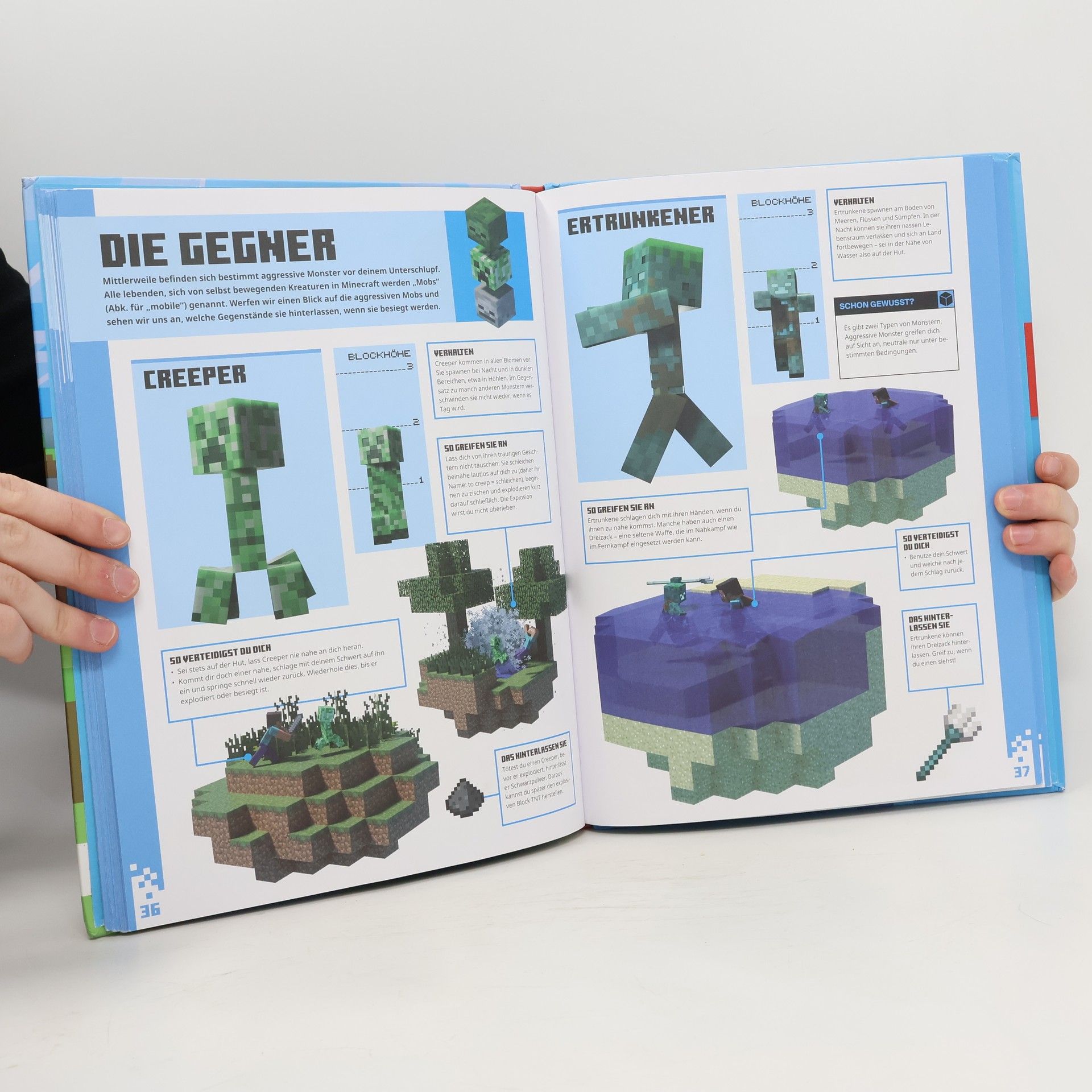 Stephanie Milton Minecraft für Anfänger