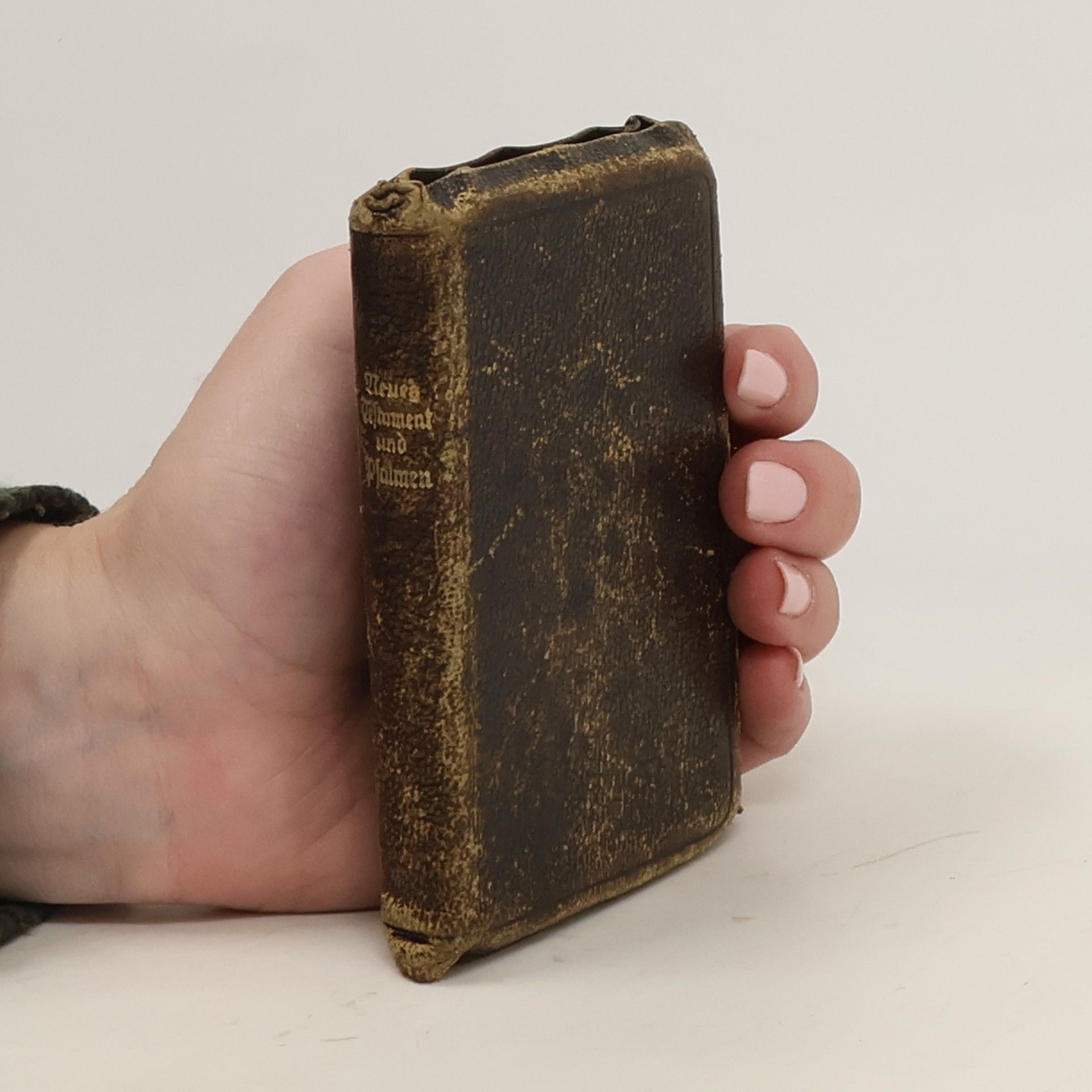 Autorenkollektiv Neue Testament