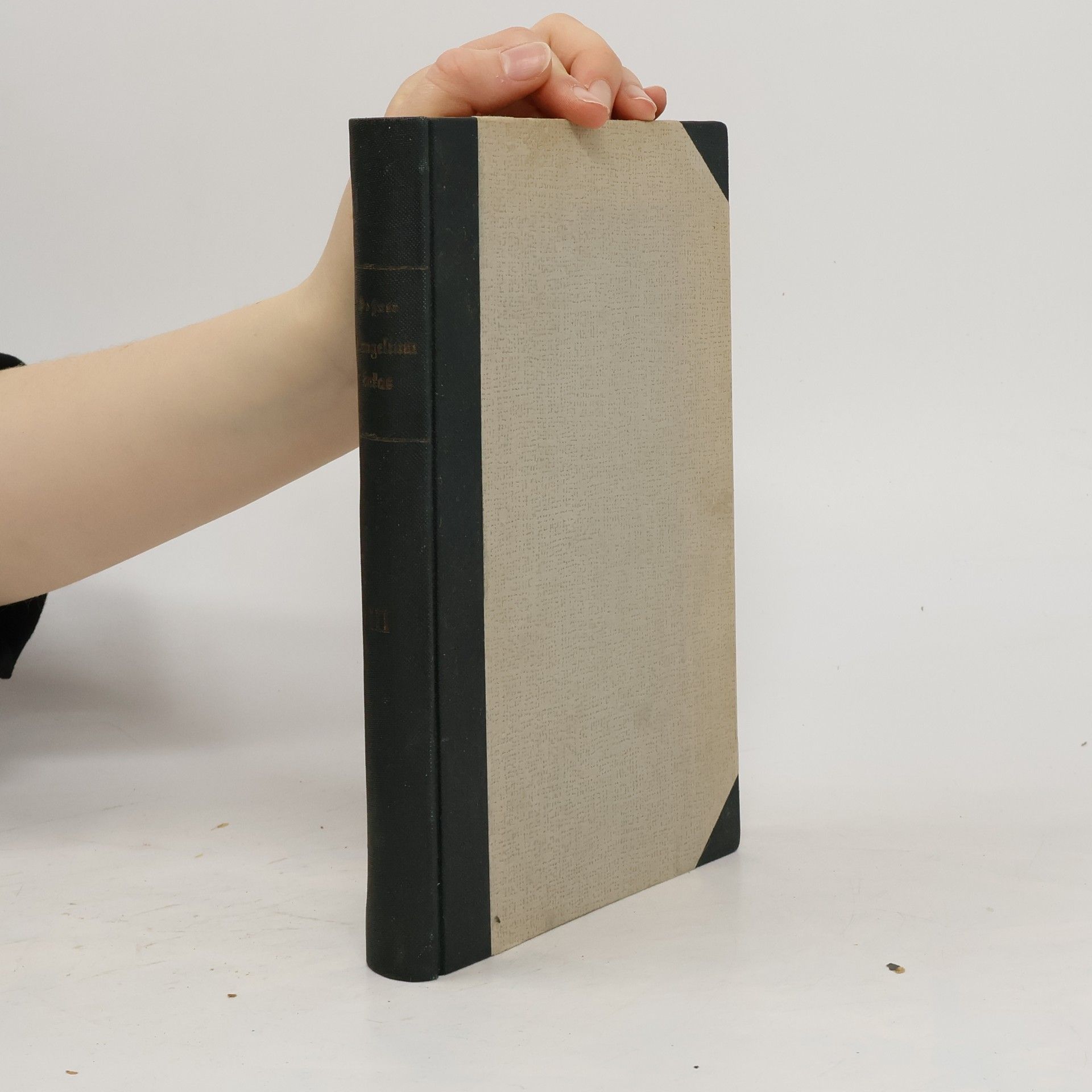 Johannes Evangelista Goßner Die heiligen Schriften