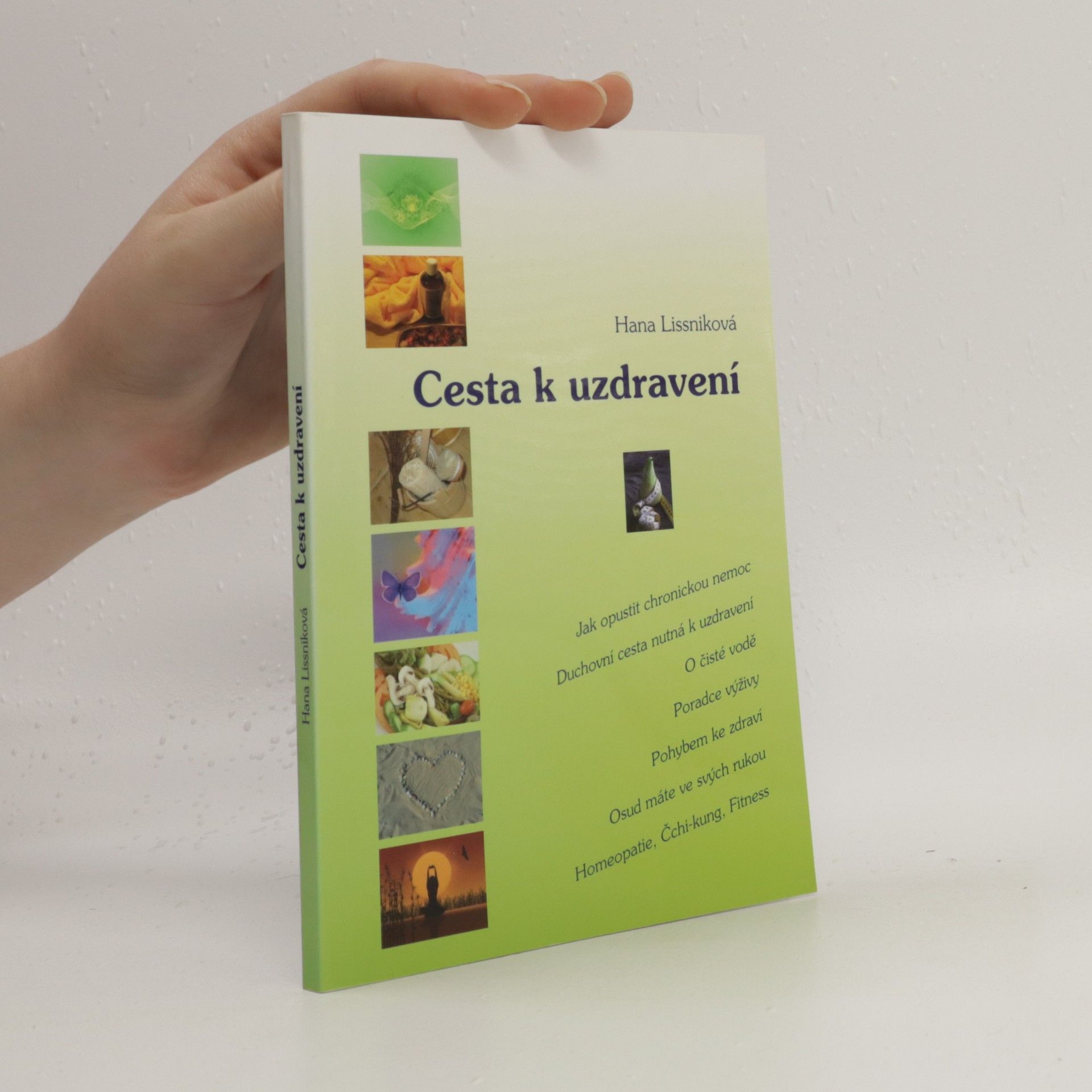 Hana Lissniková Cesta k uzdravení