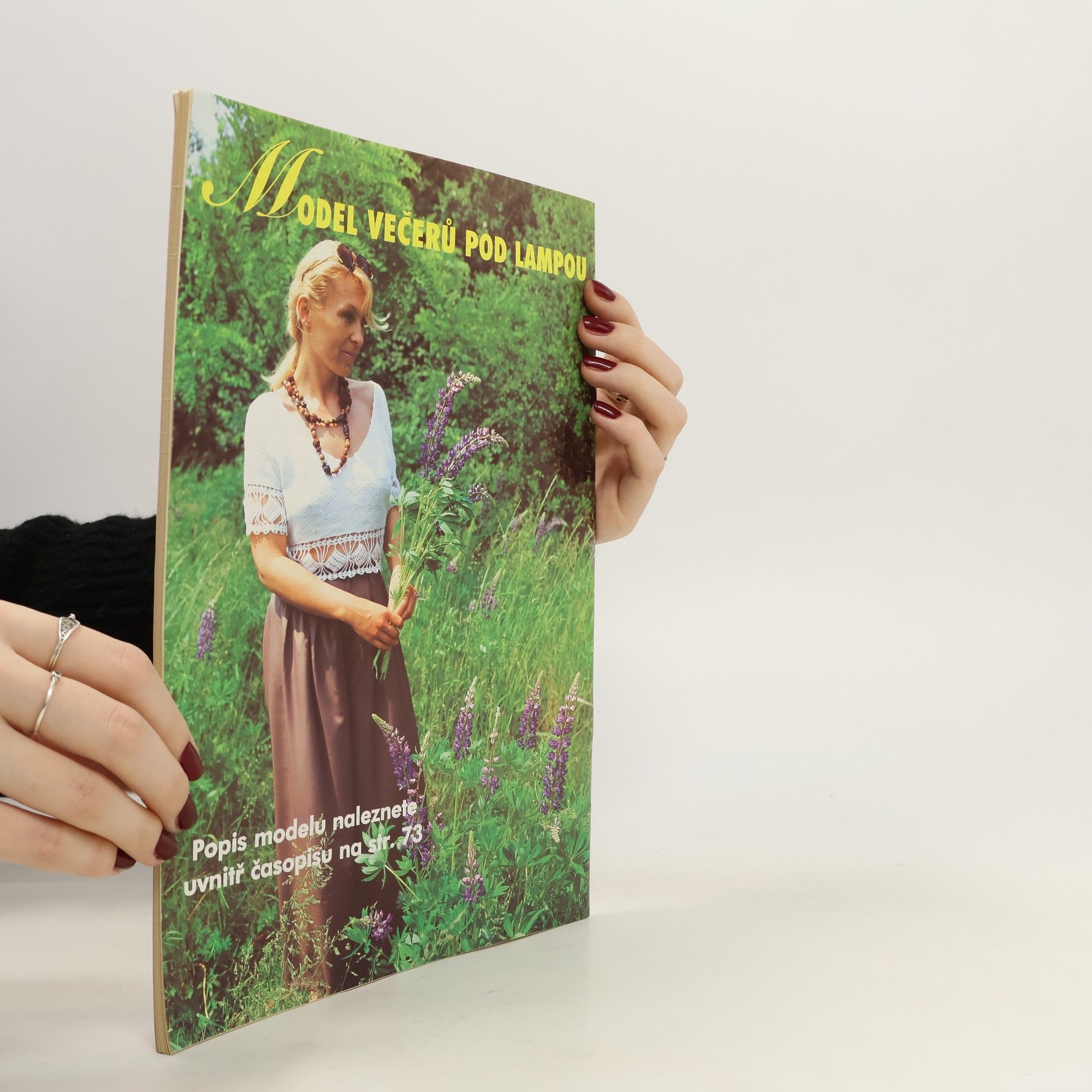 Various authors Večery pod lampou. Lhostejný poručník