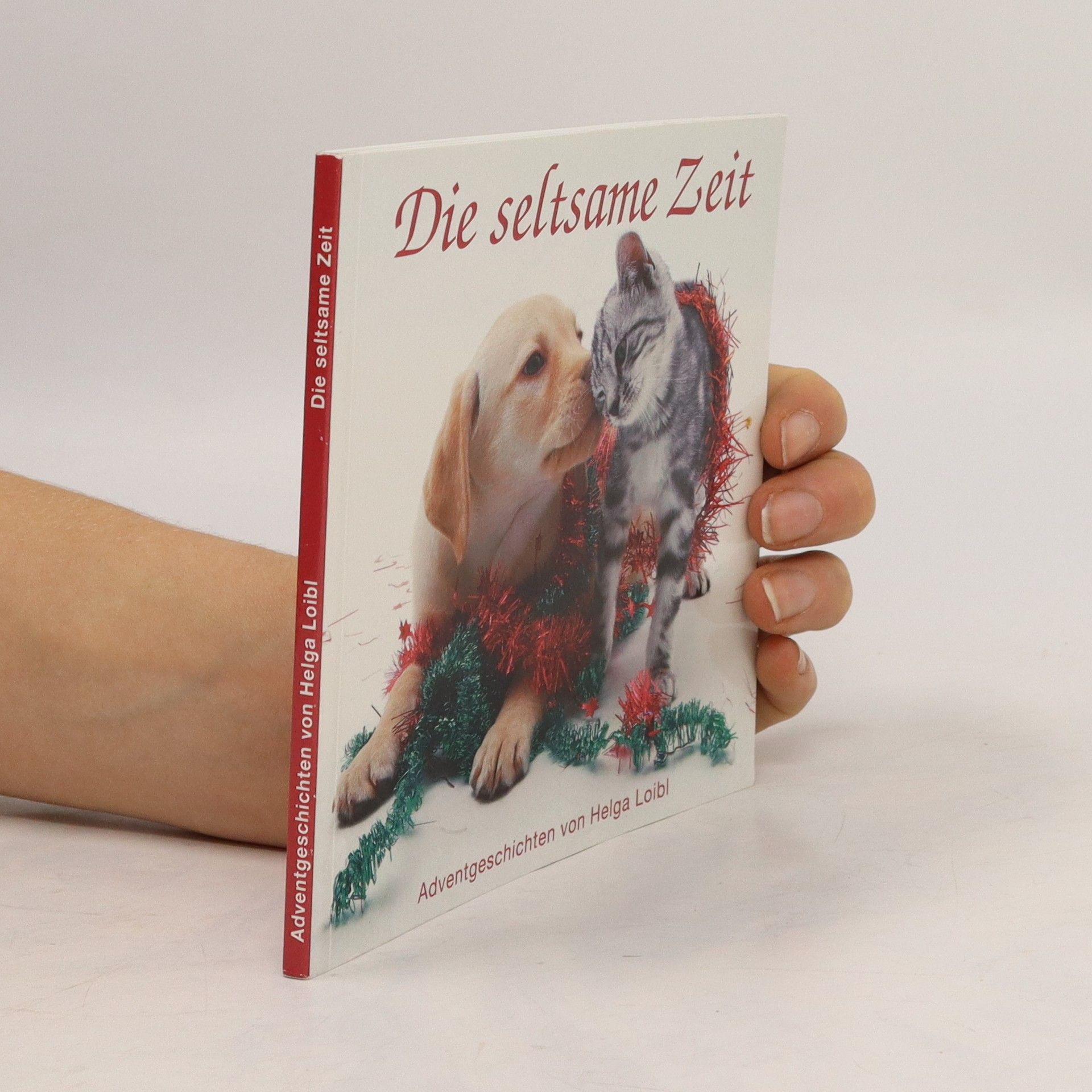 Autorenkollektiv Die seltsame Zeit