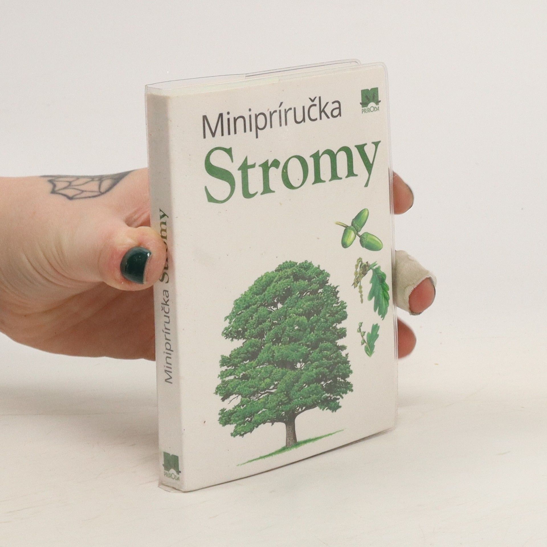 Autorenkollektiv Minipríručka Stromy