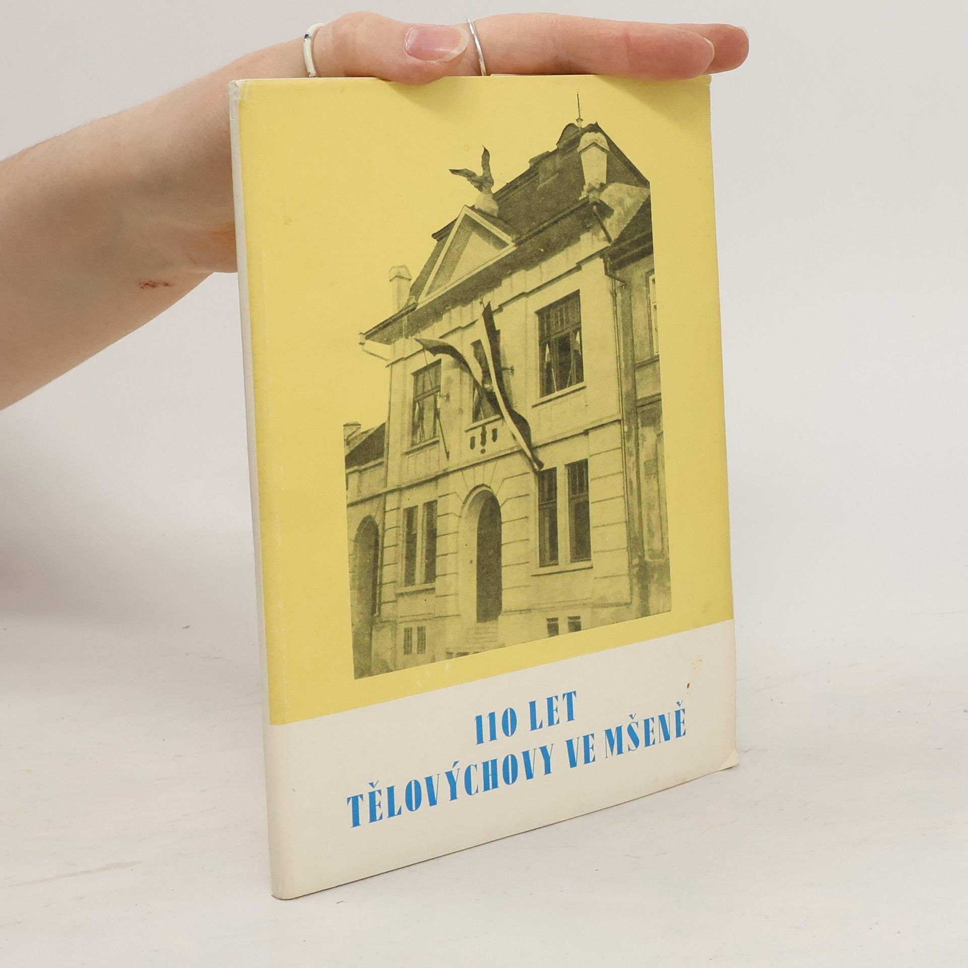 Auteurscollectief Památník TJ Sokol ve Mšeně 1865-1975