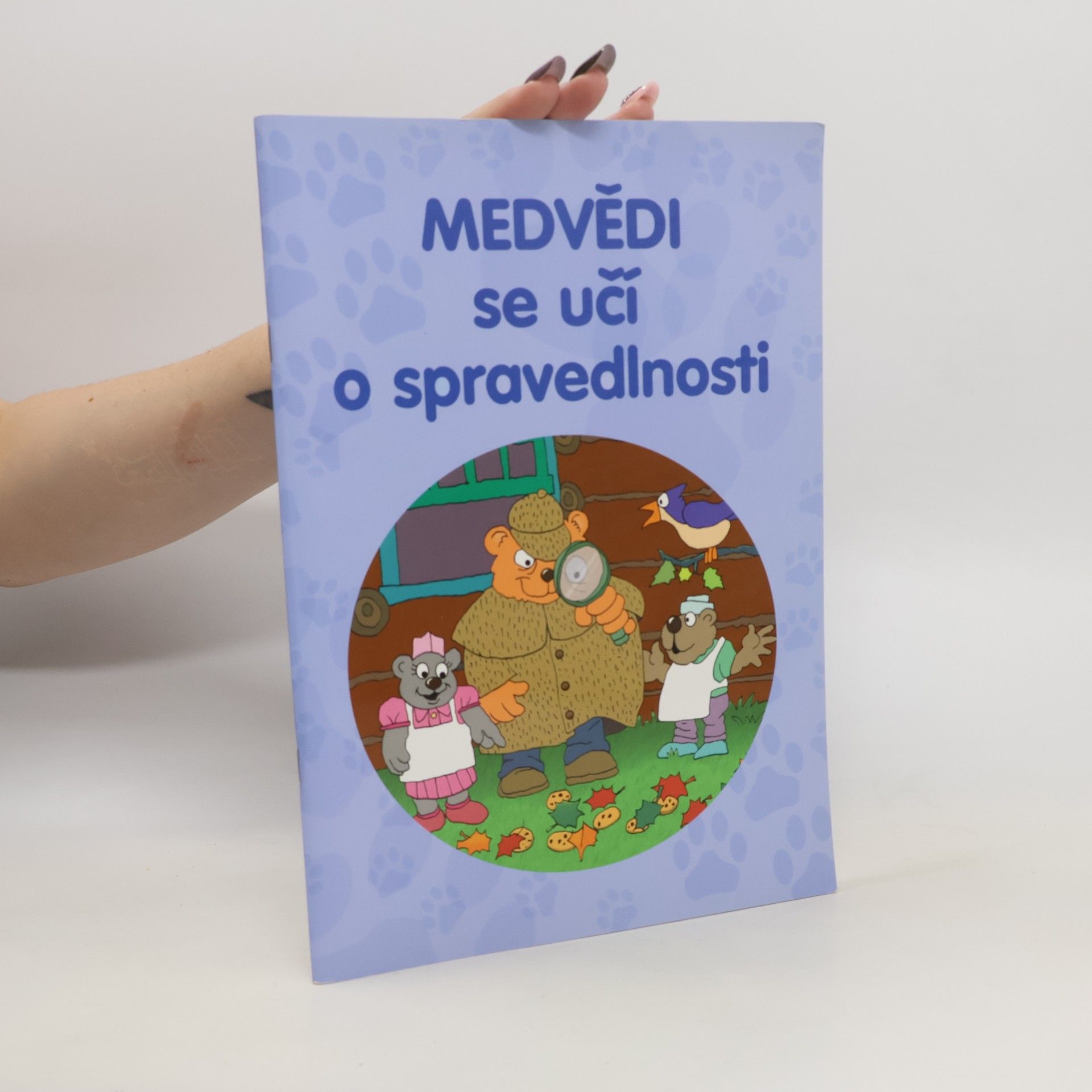 Kolektiv autorů Medvědi se učí o spravedlnosti