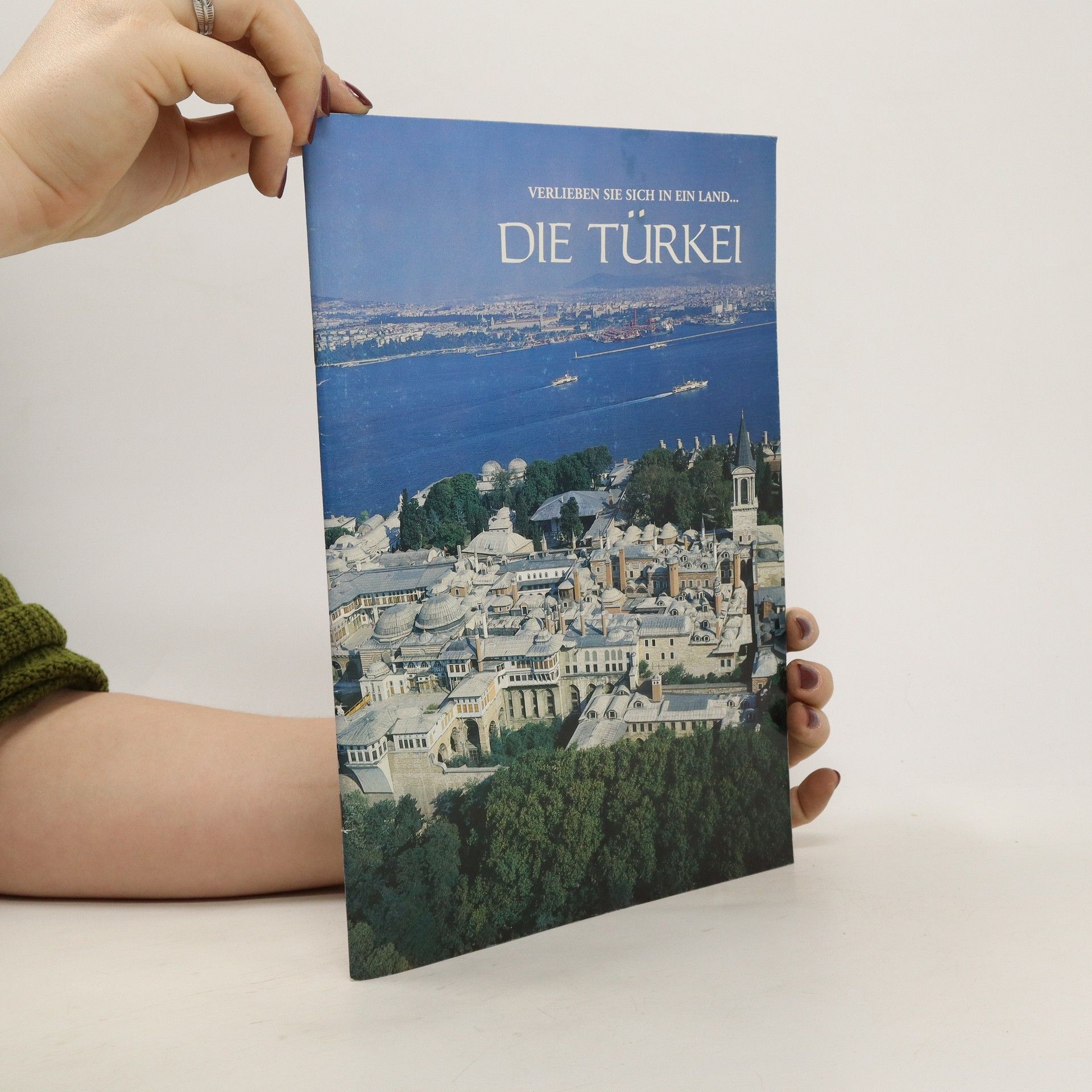 Autorenkollektiv Die Türkei