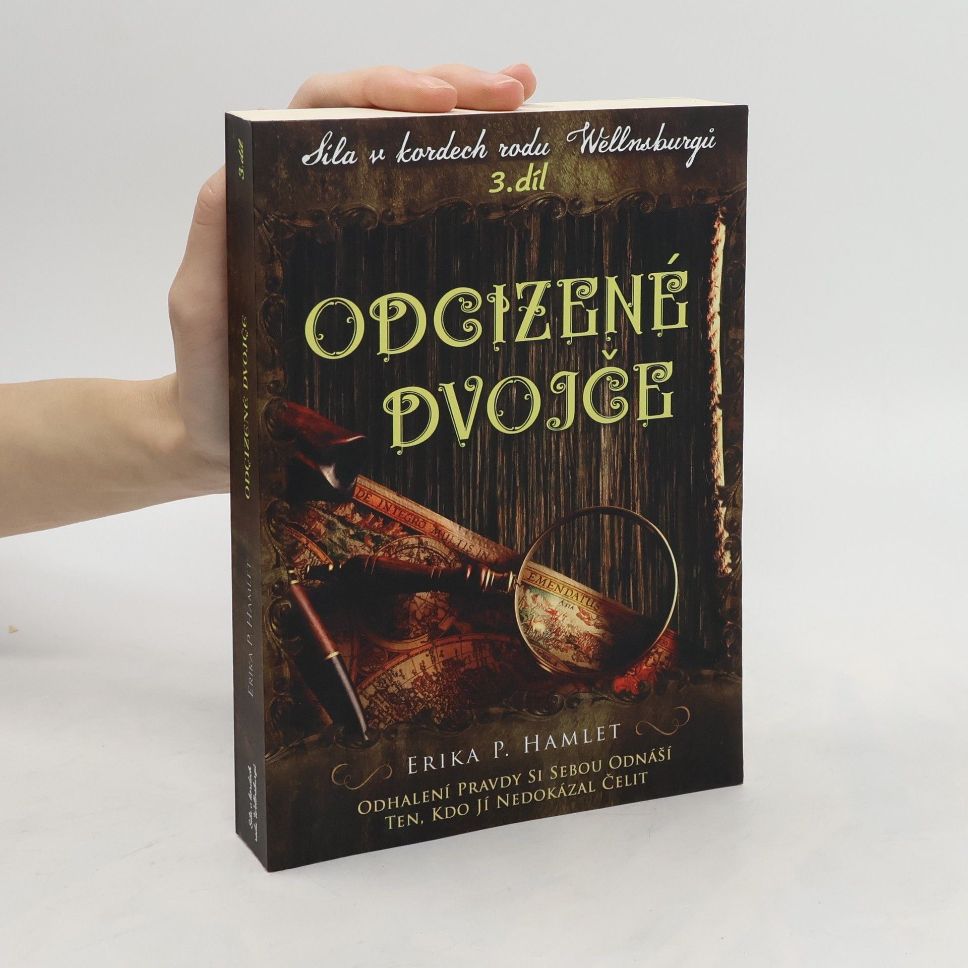 Erika Hamlet Odcizené dvojče