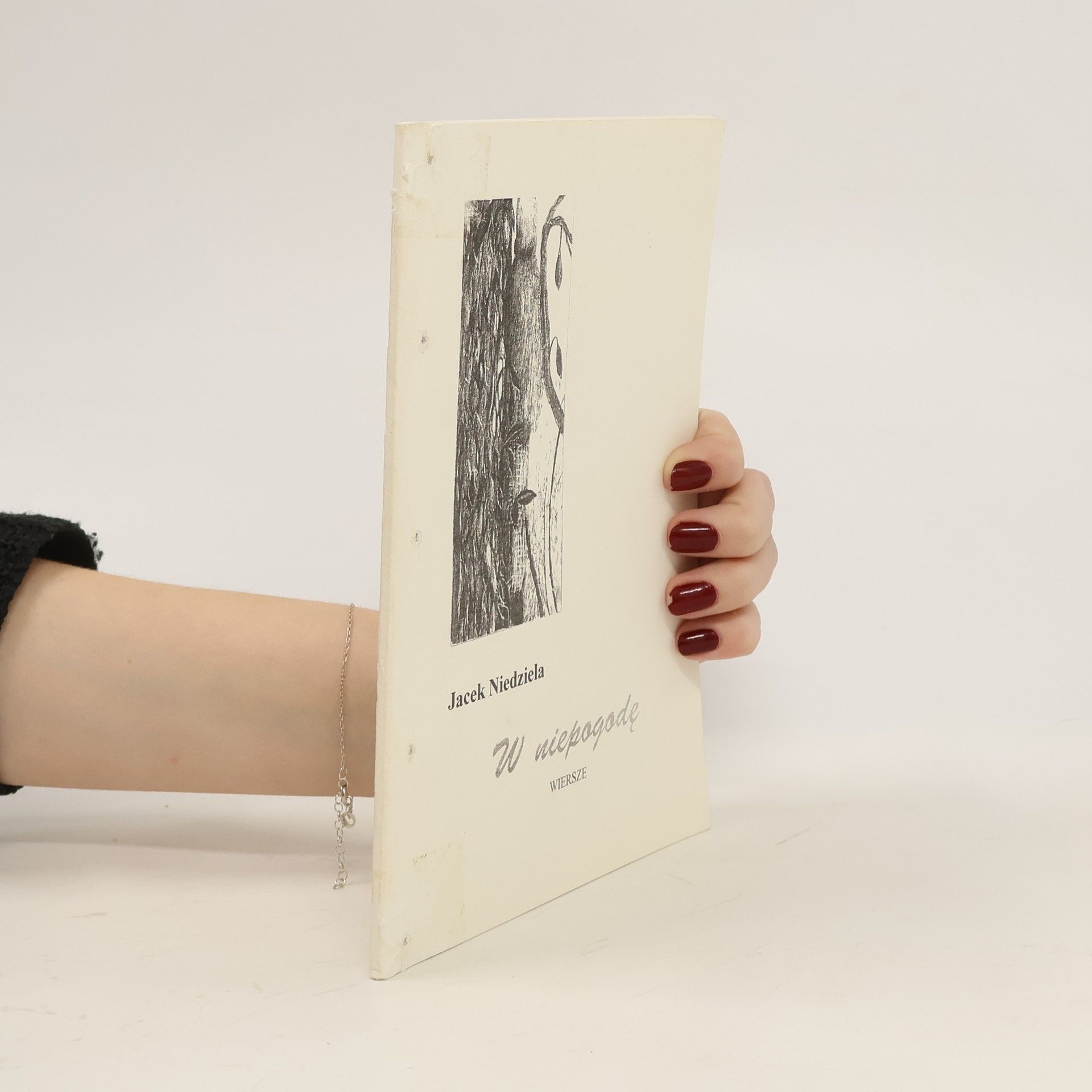 Niedziela Jacek W niepogodę. Wiersze