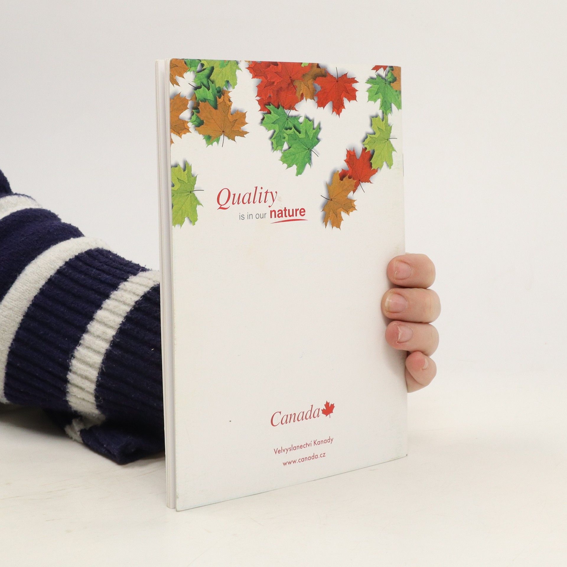 Autores varios Kanadská kuchařka