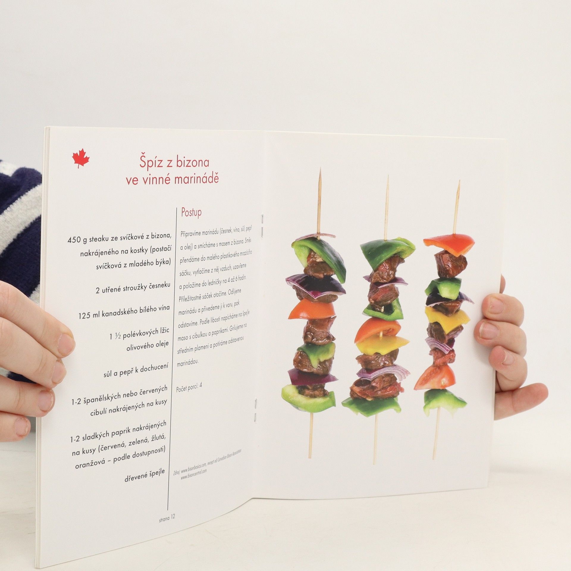 Autores varios Kanadská kuchařka