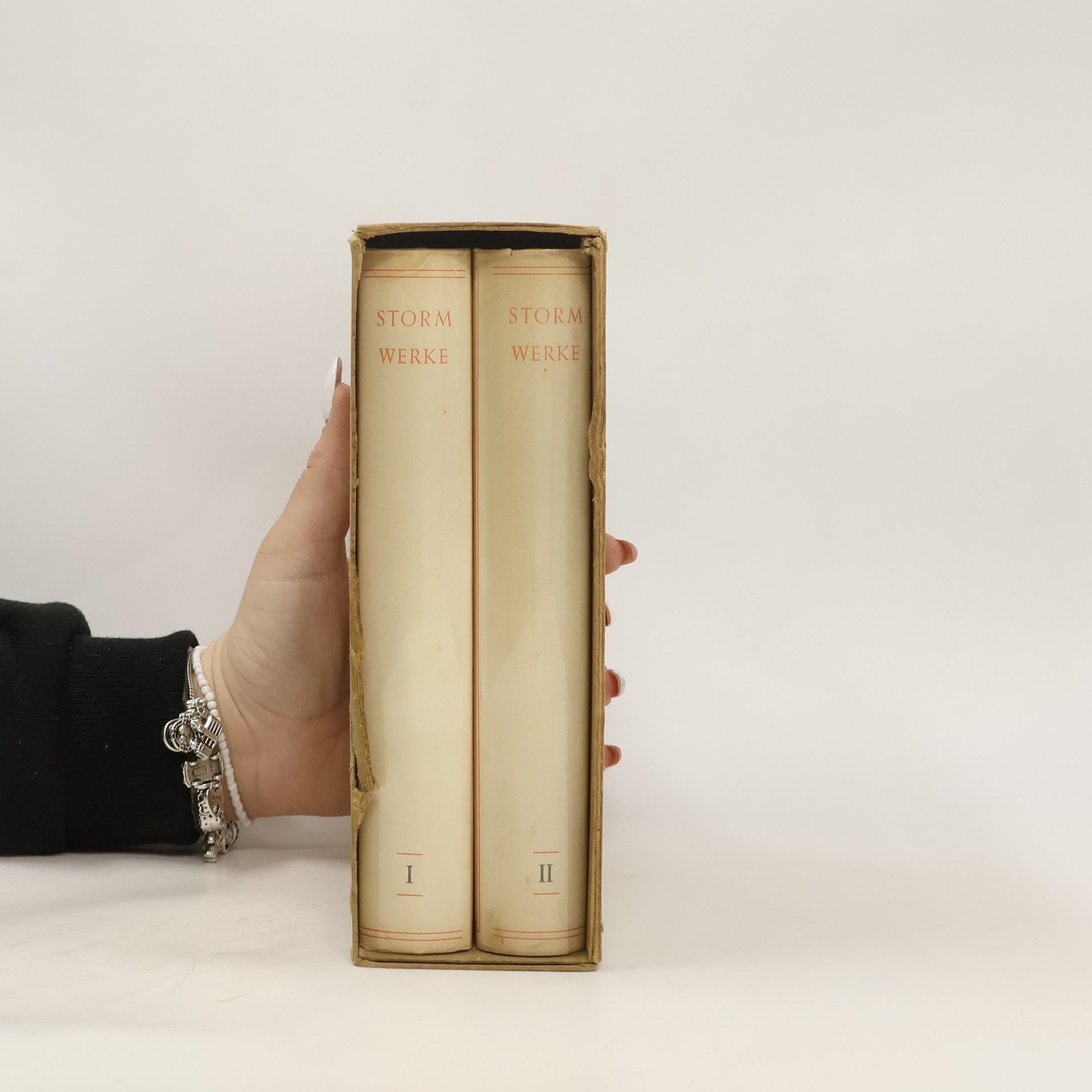 Autorenkollektiv Storm Werke I. - II.