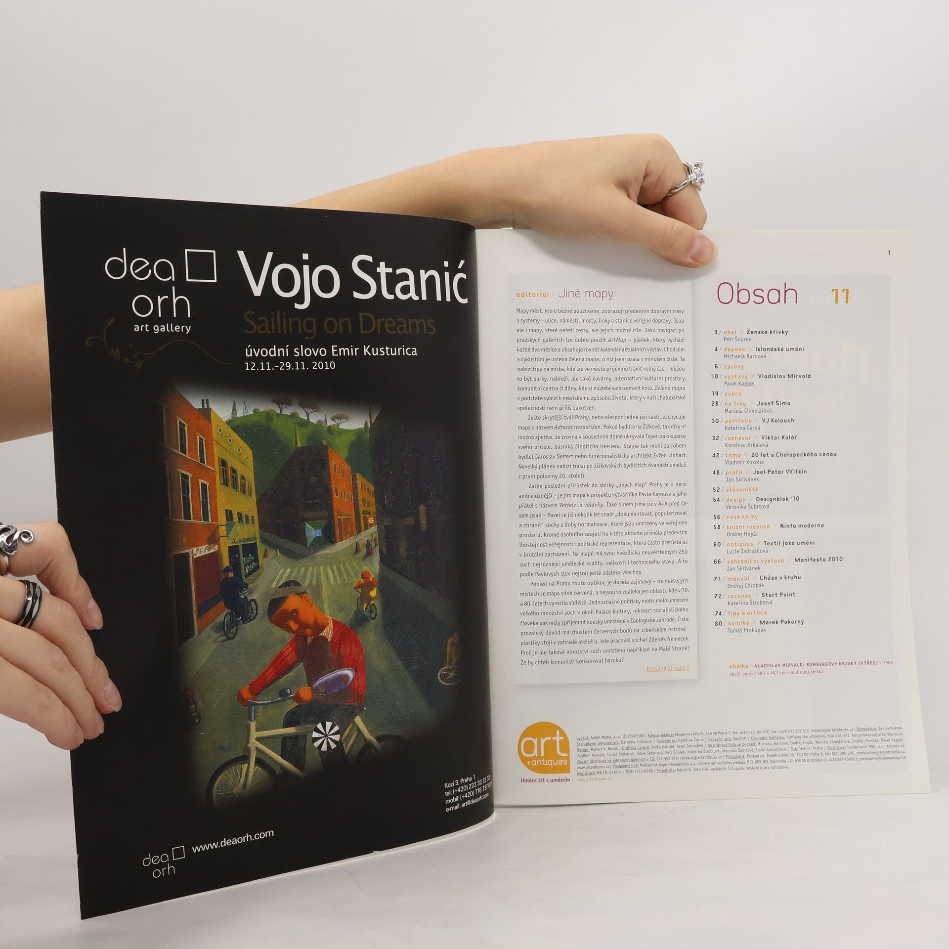 Kolektiv autorů Art+antiques listopad 2010