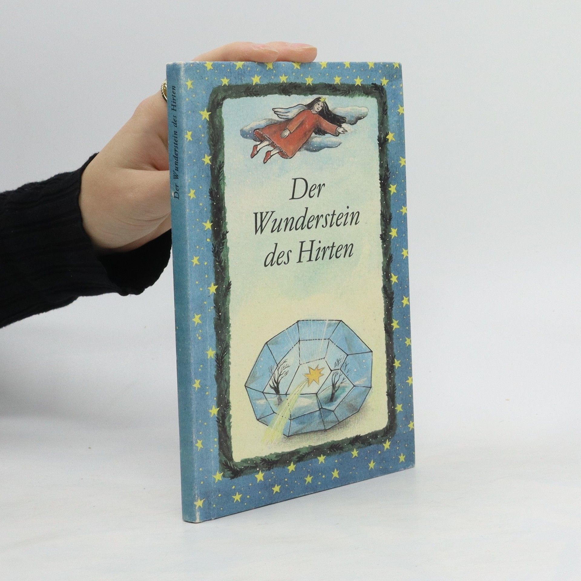 kolektiv Der Wunderstein des Hirten