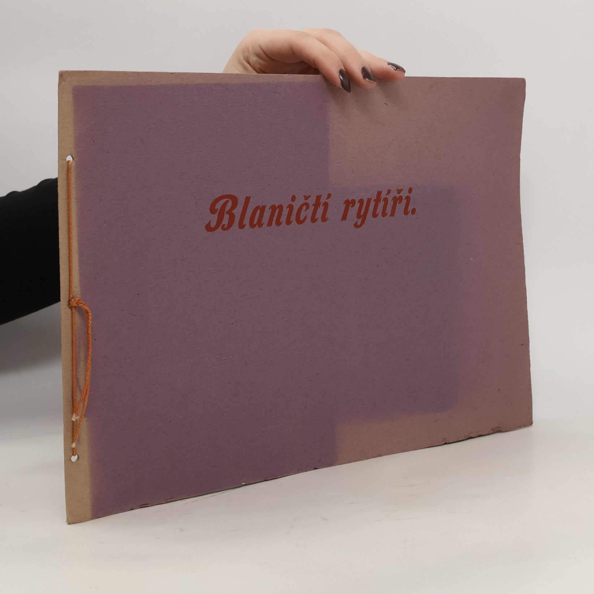 Kolektív autorov Blaničtí rytíři