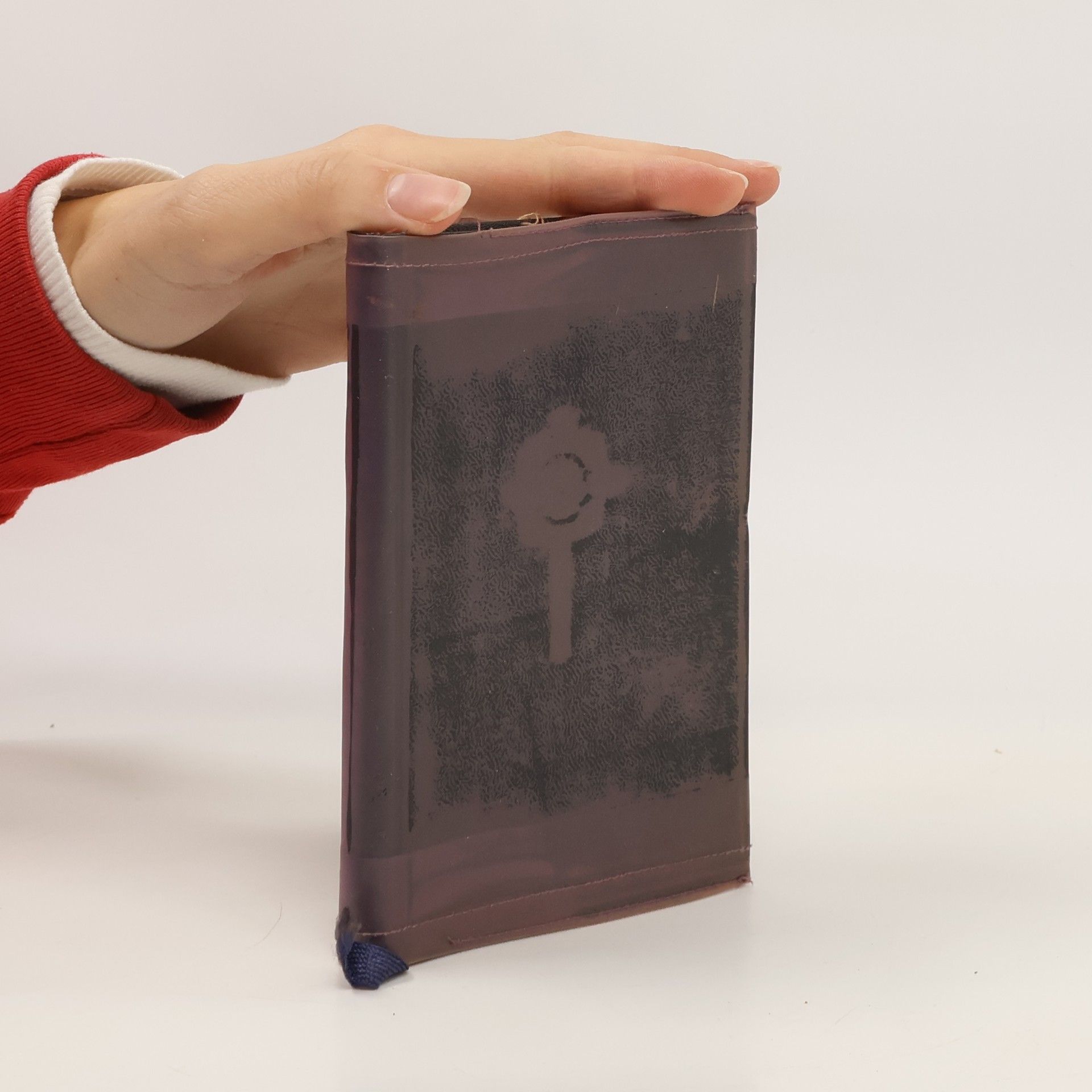 AA.VV. Fehér Tüzek. Klement Ilonka Versei